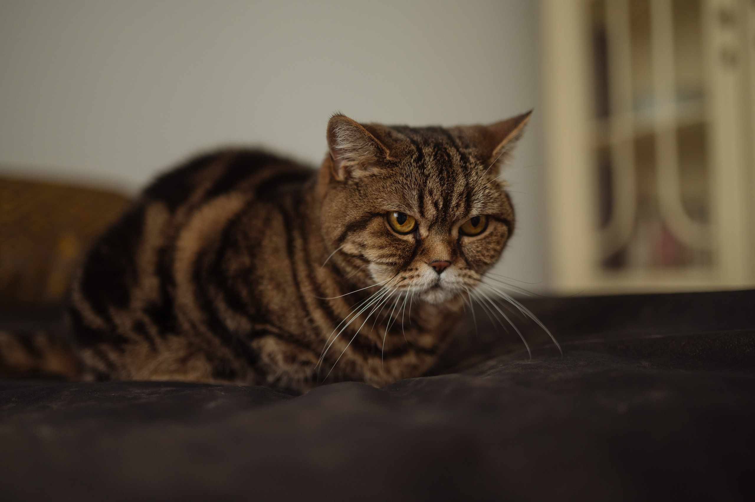 Отзывы. Свадебный и Семейный фотограф в Санкт-Петербурге Марина Заборовская