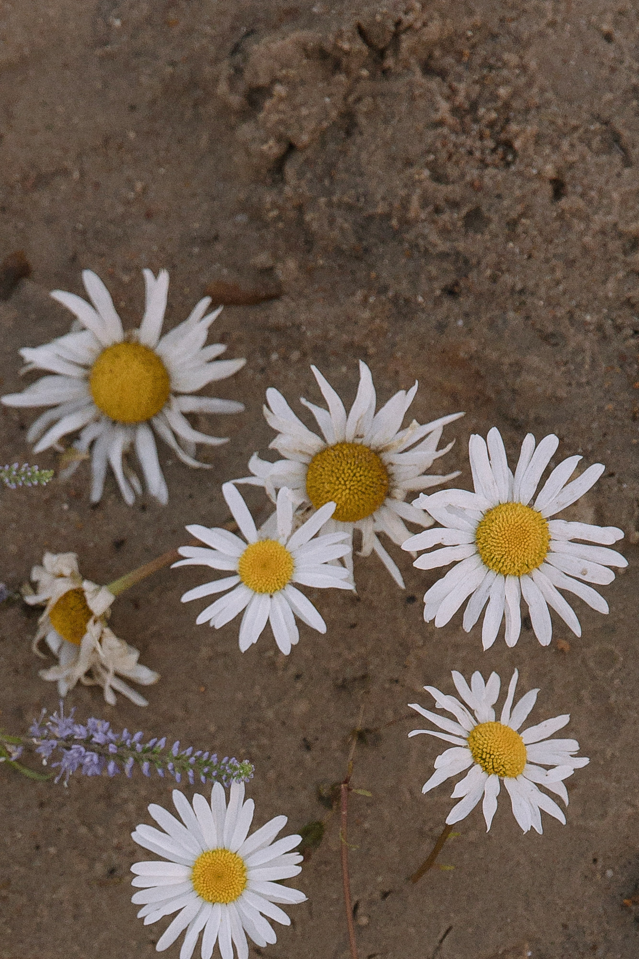At the soul level. Свадебный фотограф Колесников Антон