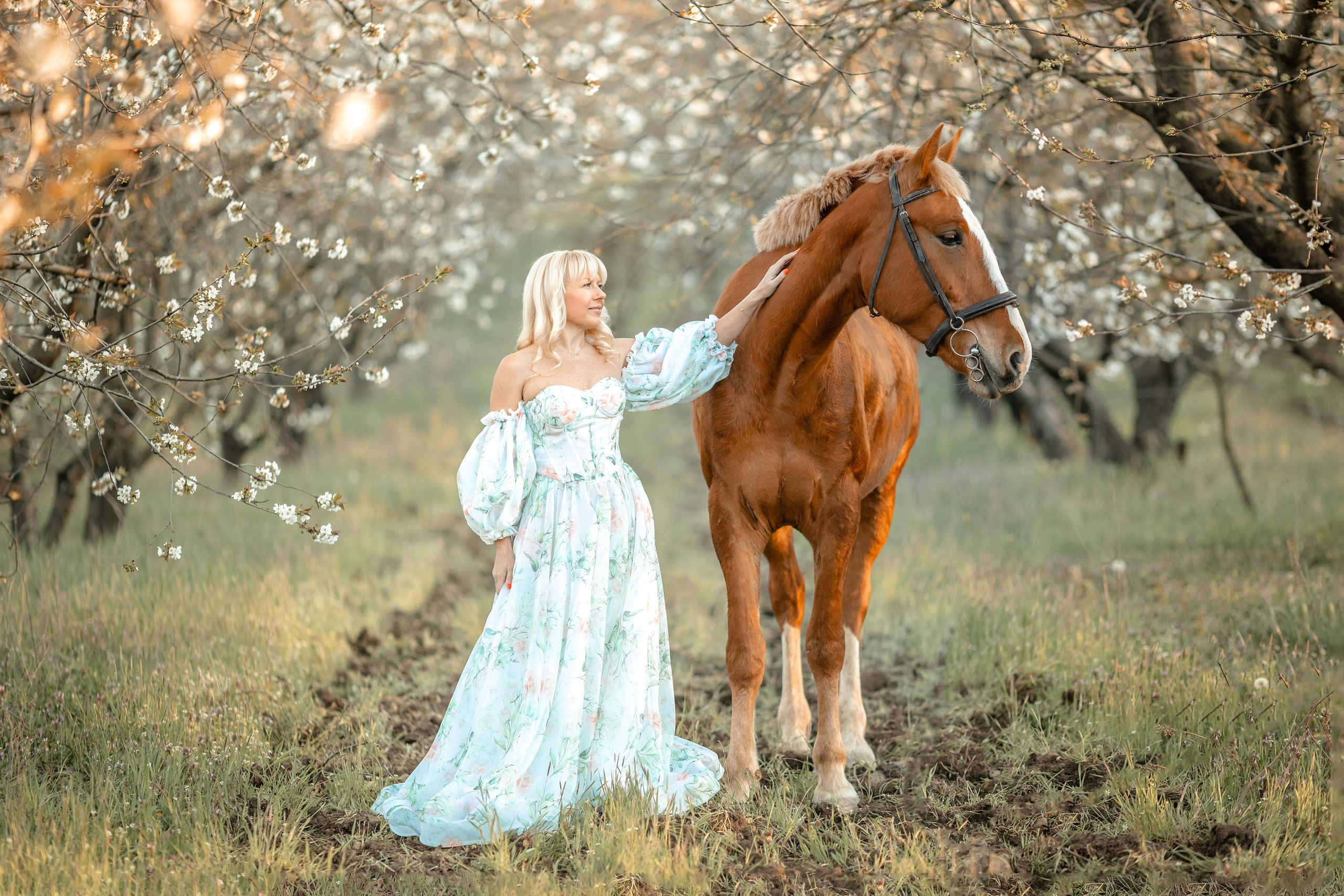 Лошади. Художественный фотограф Анапа Александра Долбикова