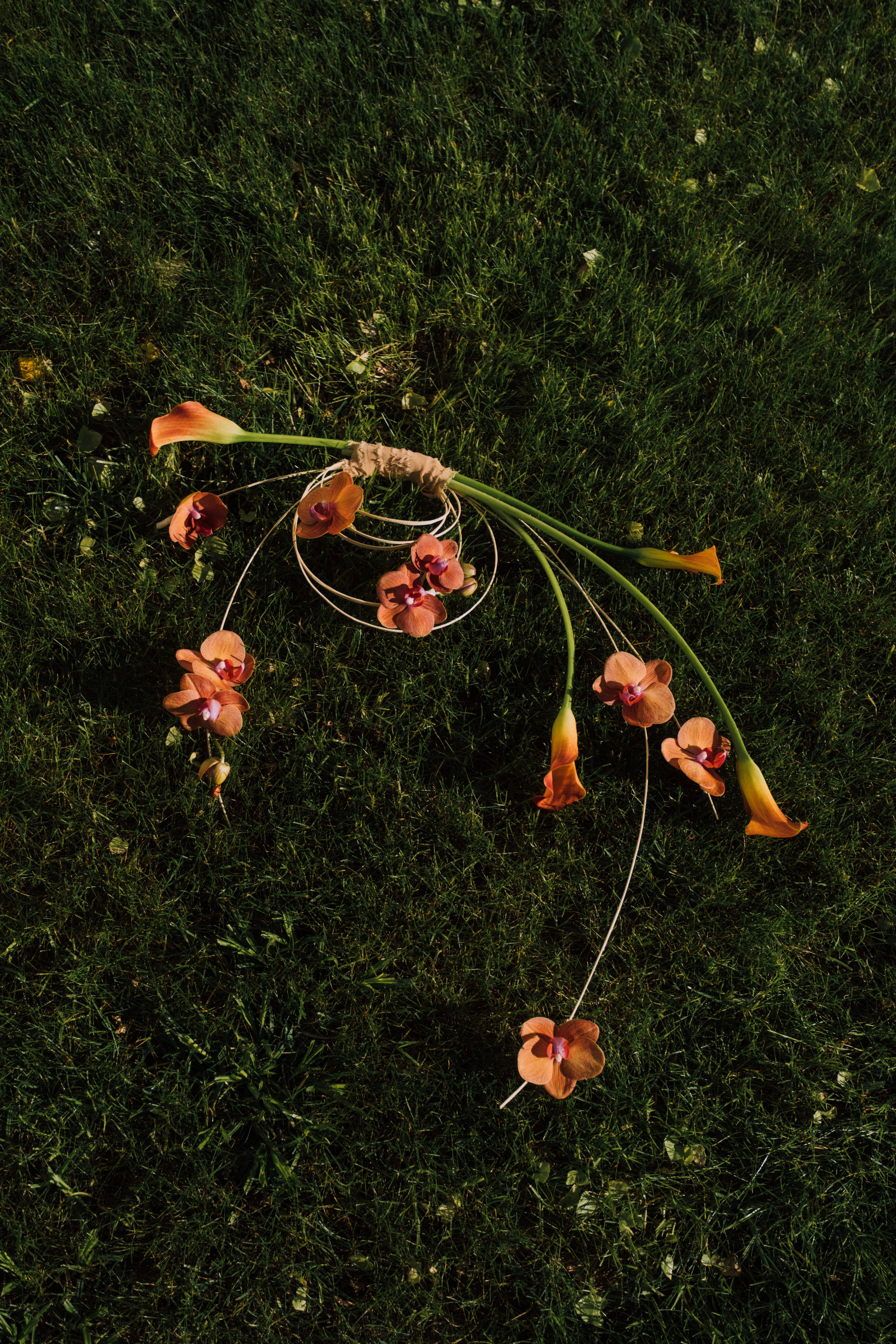 Аркея. Свадебный Видеограф Фотограф в Сочи