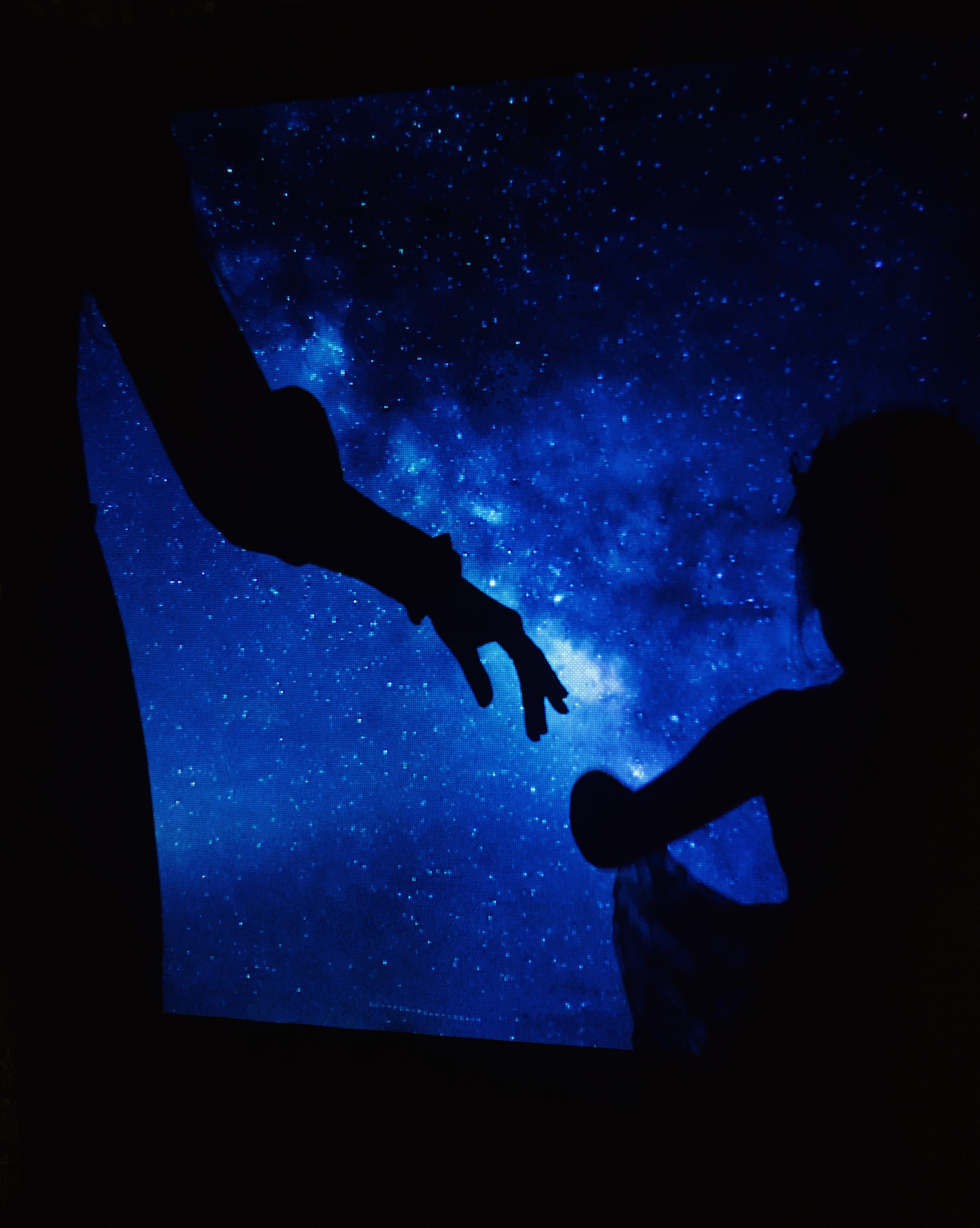 Ночь в парке. Виктория Еремина — фотограф и видеограф в Москве