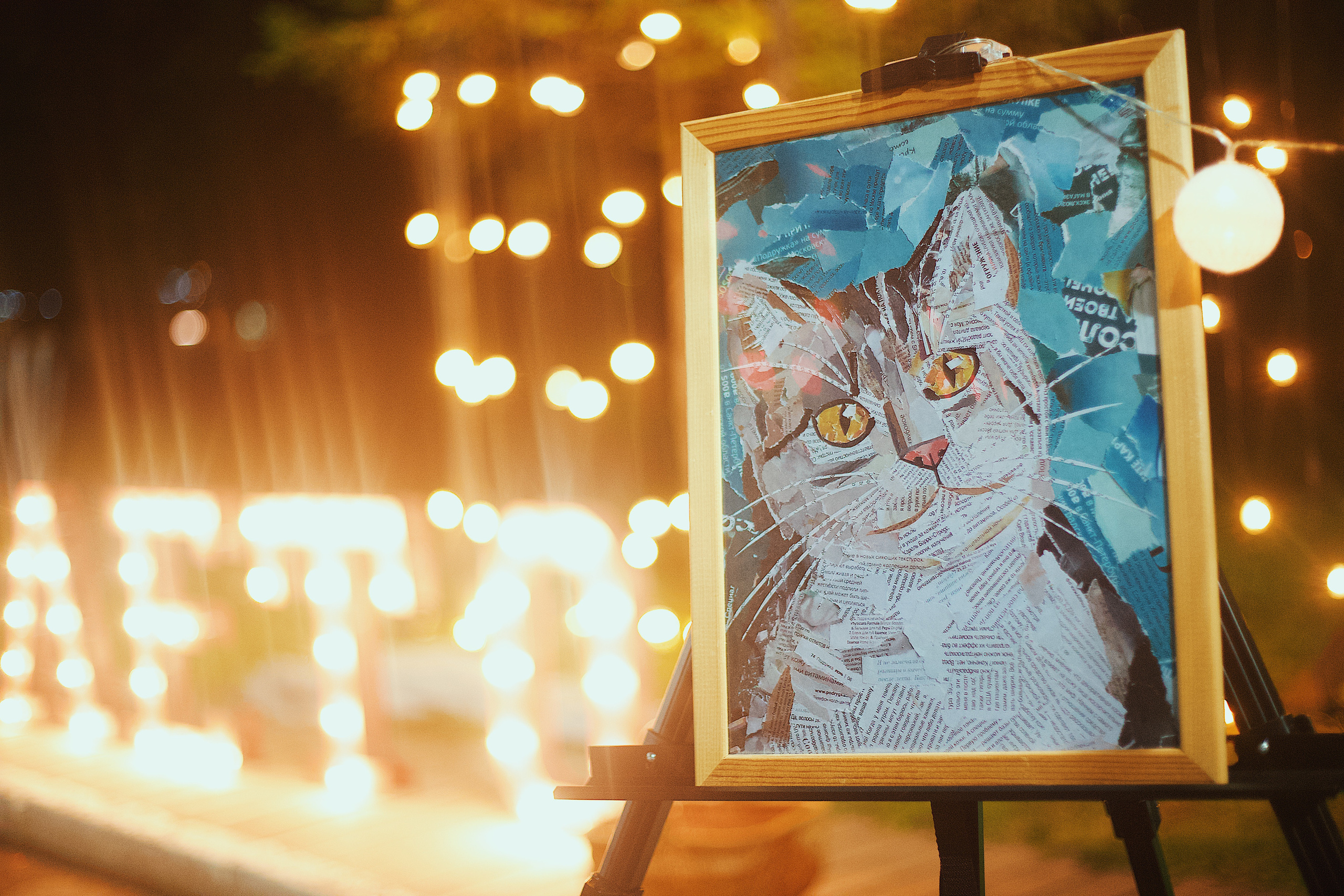 Ночь в парке. Виктория Еремина — фотограф и видеограф в Москве