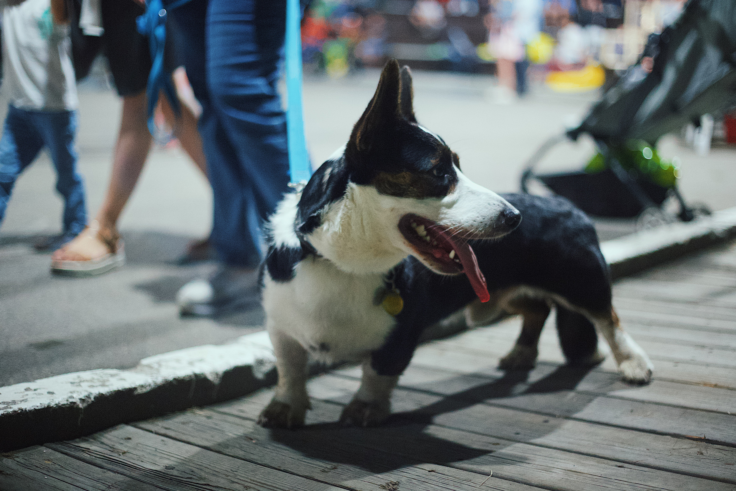 Ночь в парке. Виктория Еремина — фотограф и видеограф в Москве