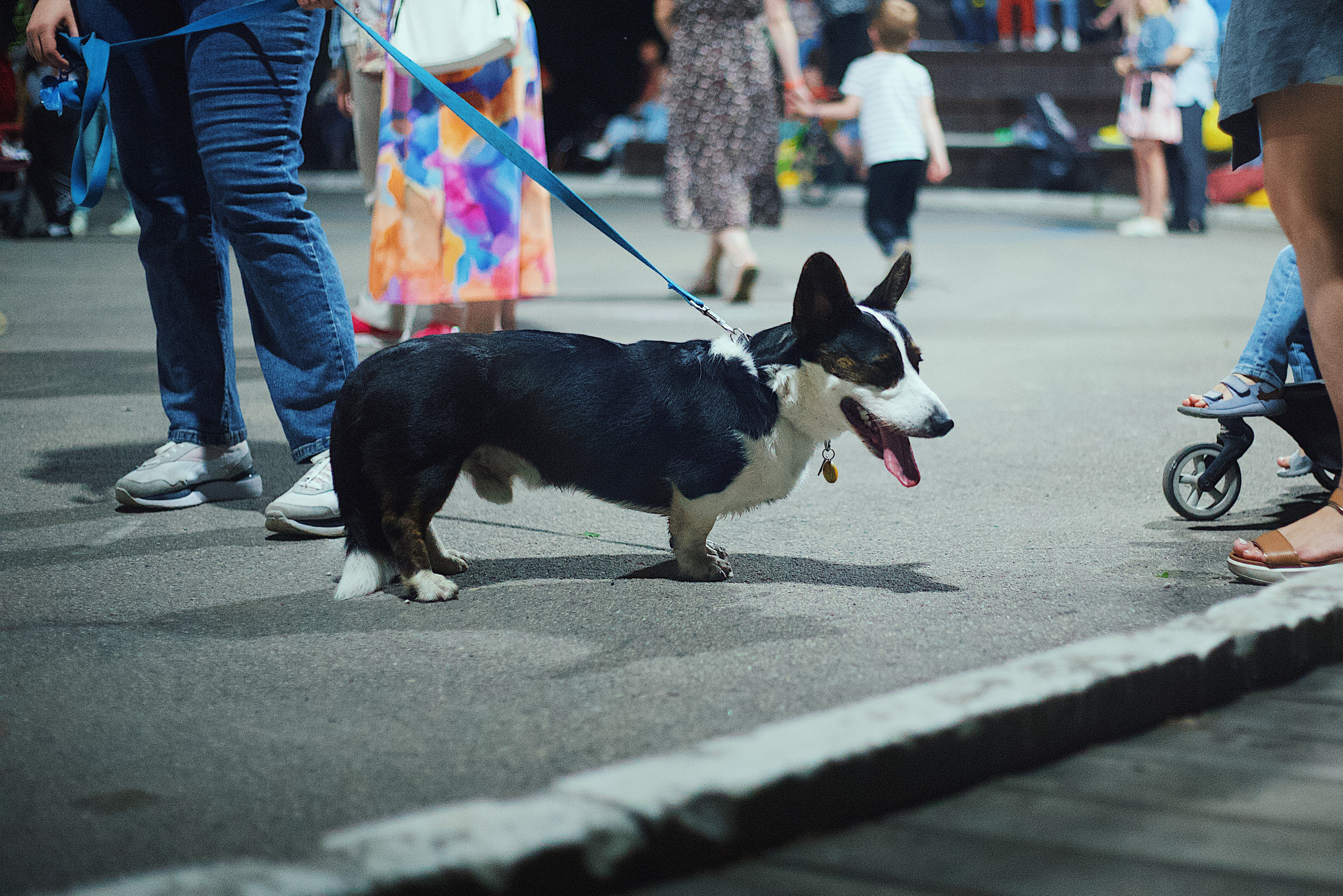 Ночь в парке. Виктория Еремина — фотограф и видеограф в Москве
