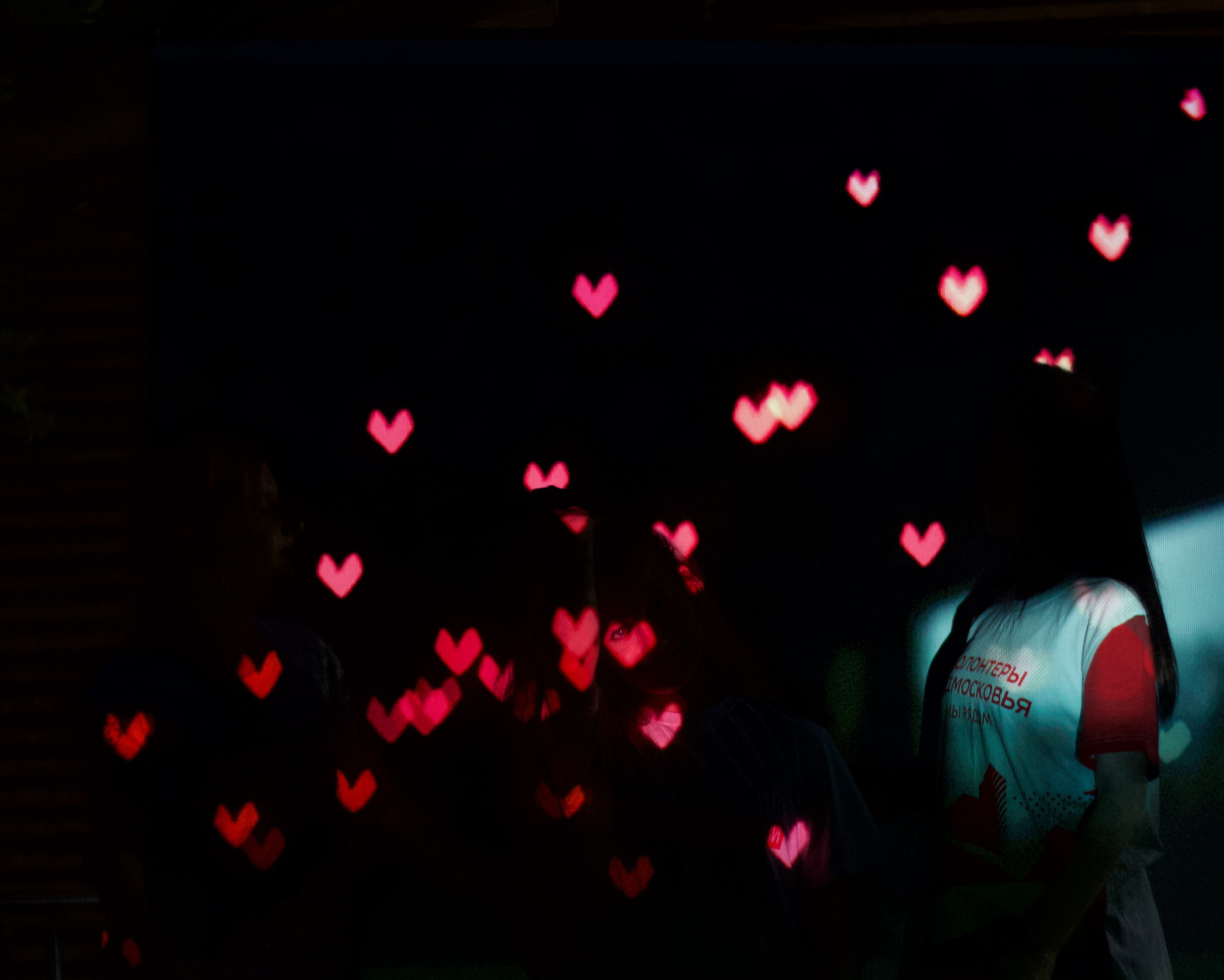 Ночь в парке. Виктория Еремина — фотограф и видеограф в Москве