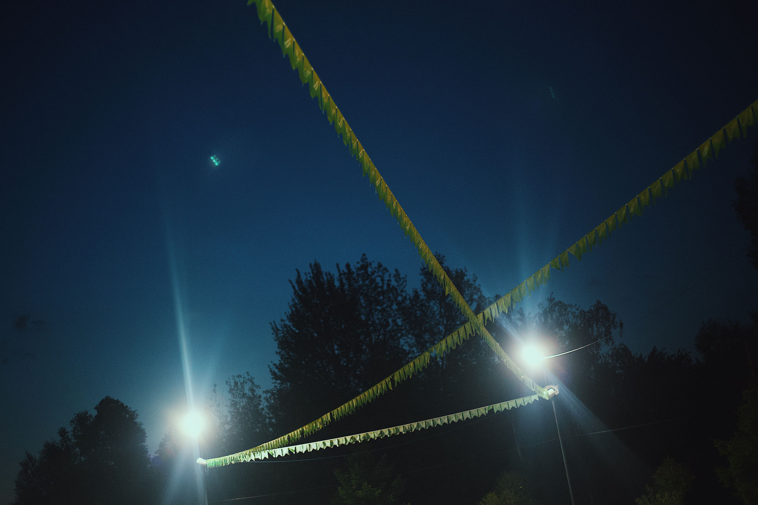 Ночь в парке. Виктория Еремина — фотограф и видеограф в Москве