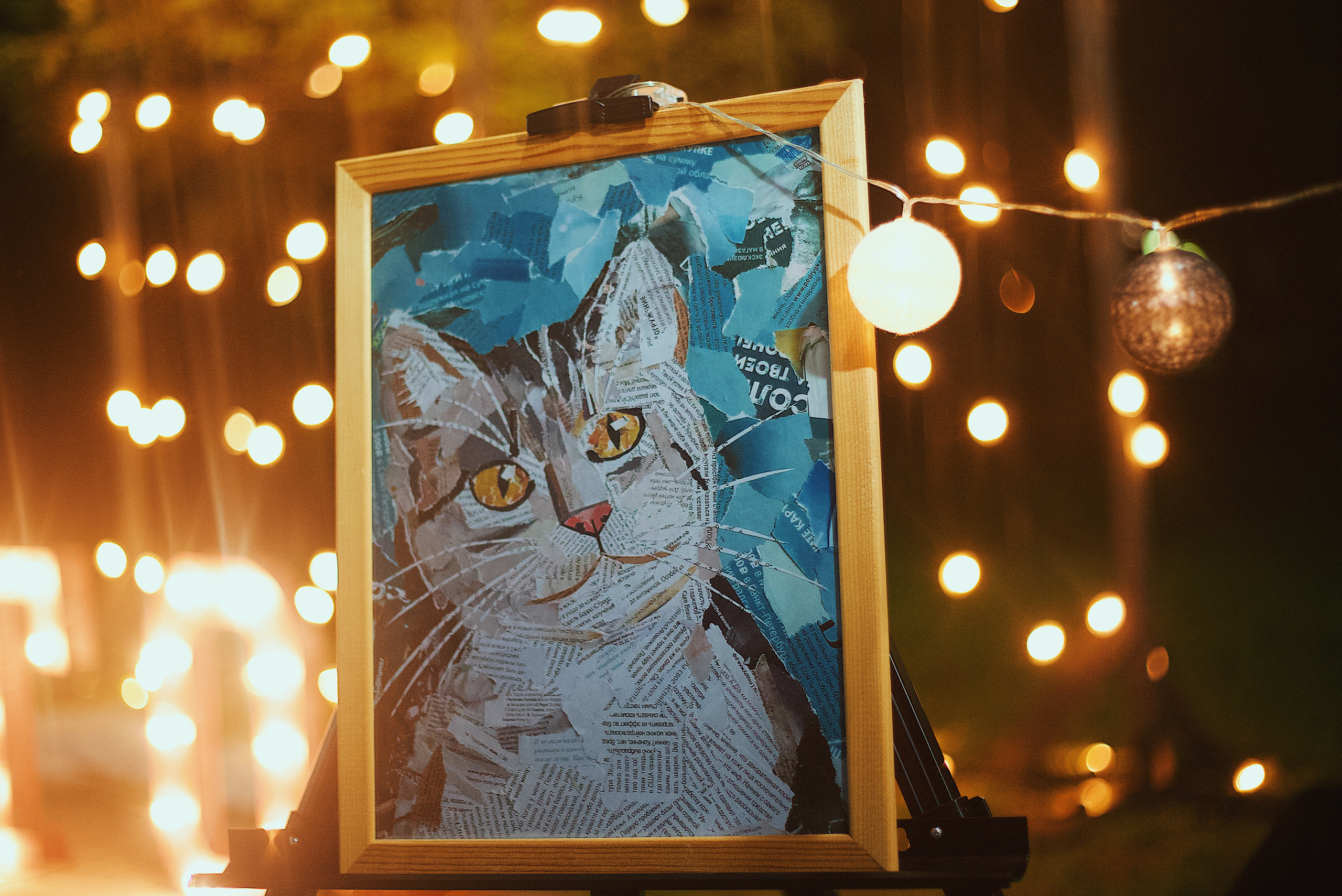 Ночь в парке. Виктория Еремина — фотограф и видеограф в Москве