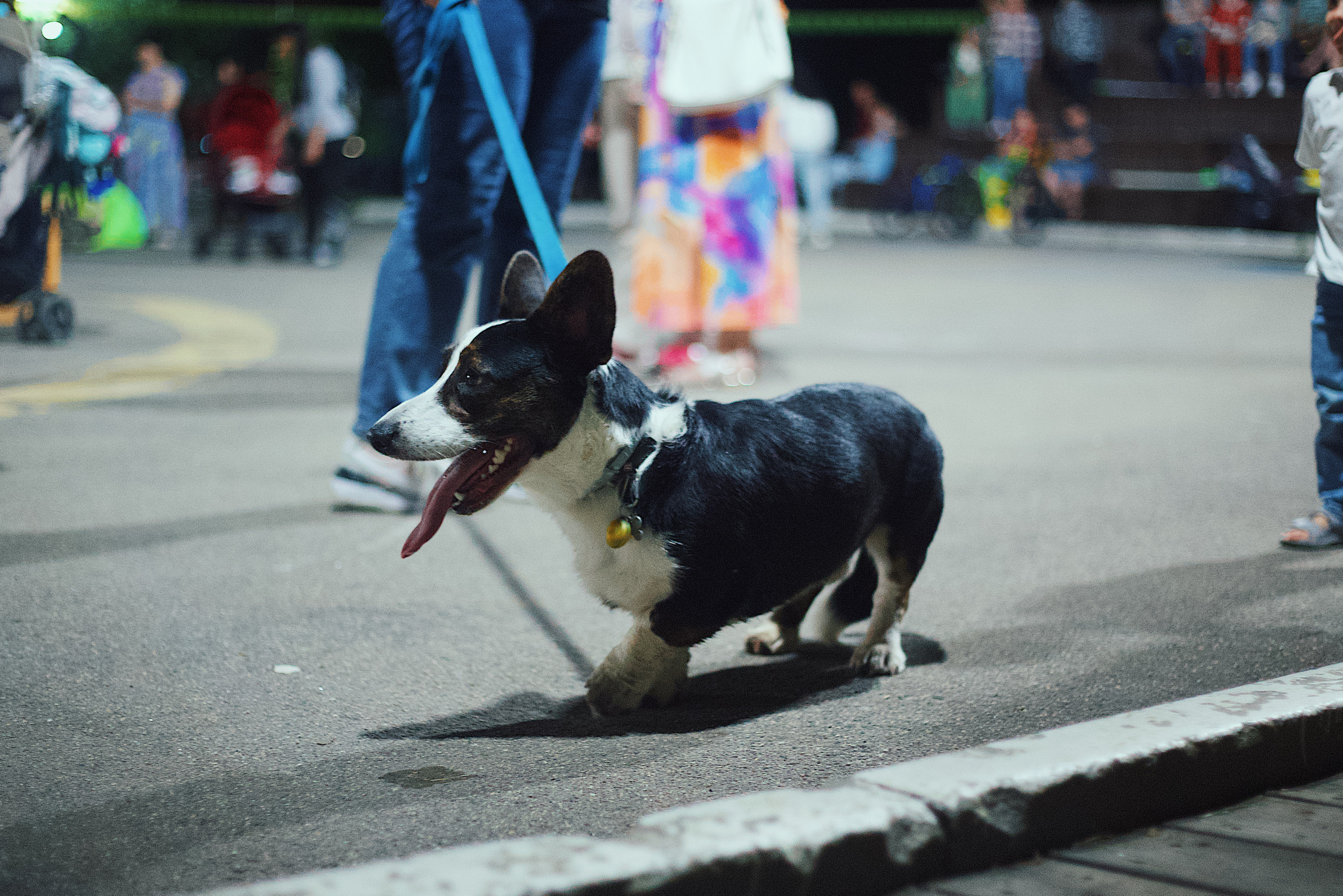 Ночь в парке. Виктория Еремина — фотограф и видеограф в Москве