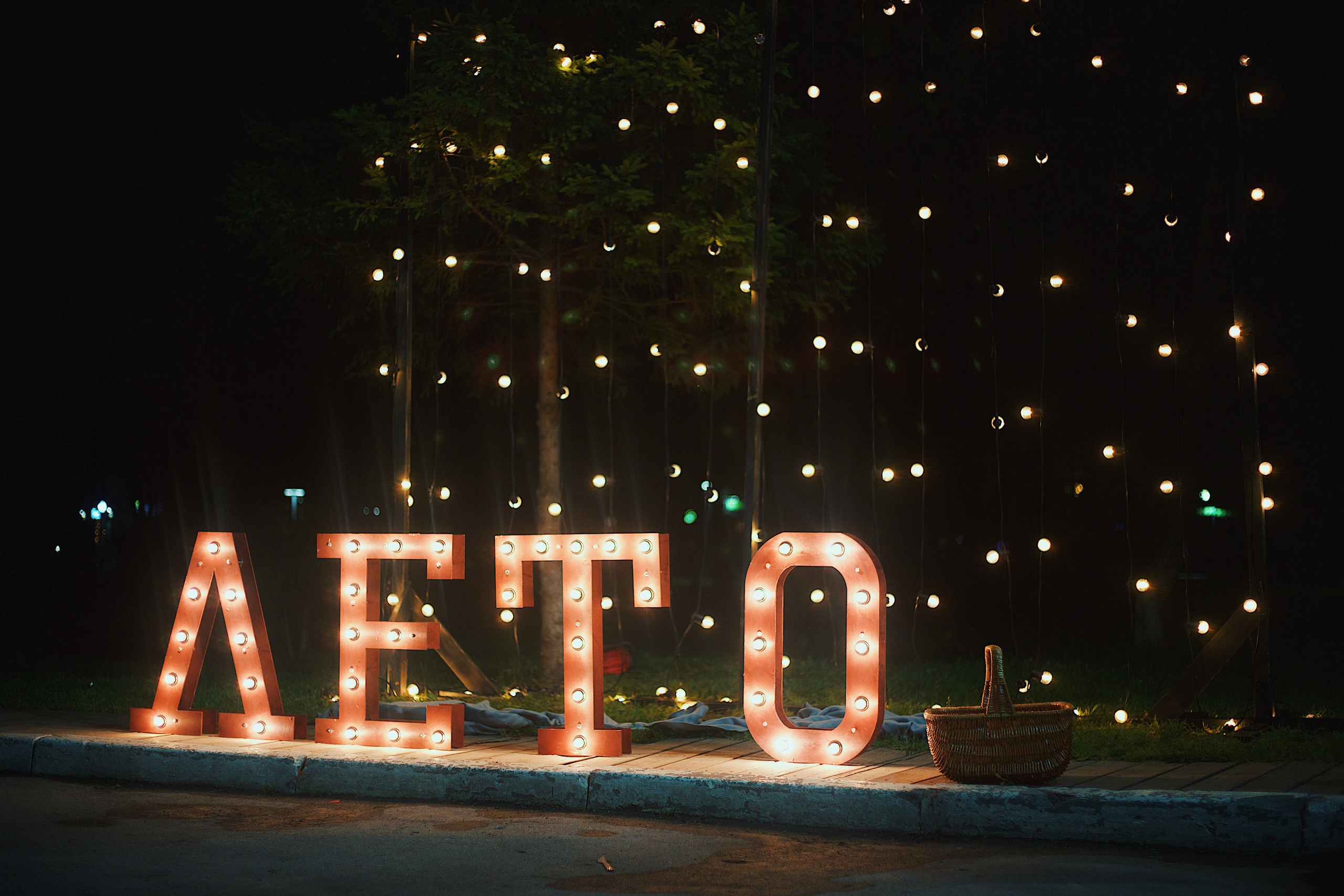 Ночь в парке. Виктория Еремина — фотограф и видеограф в Москве