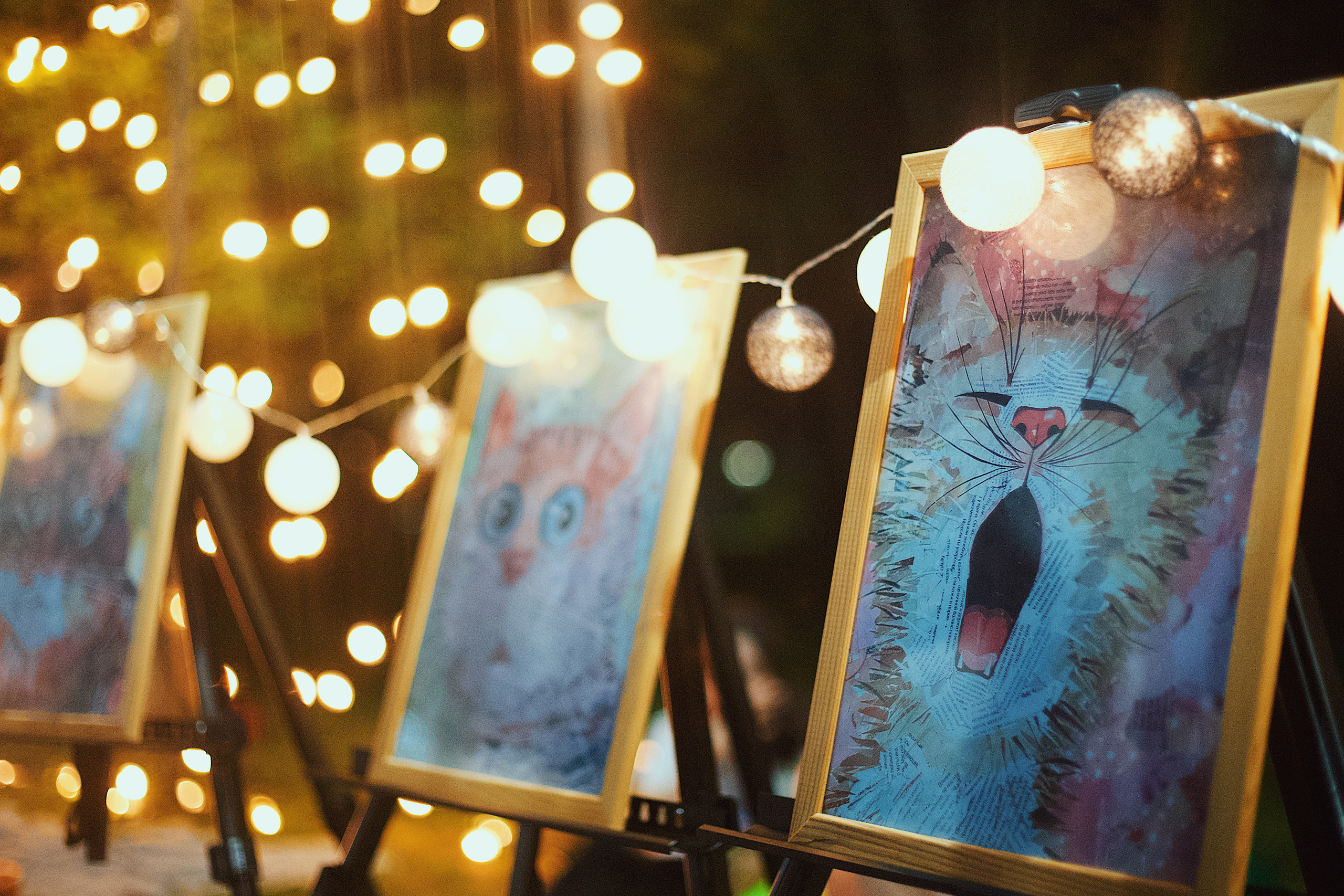 Ночь в парке. Виктория Еремина — фотограф и видеограф в Москве