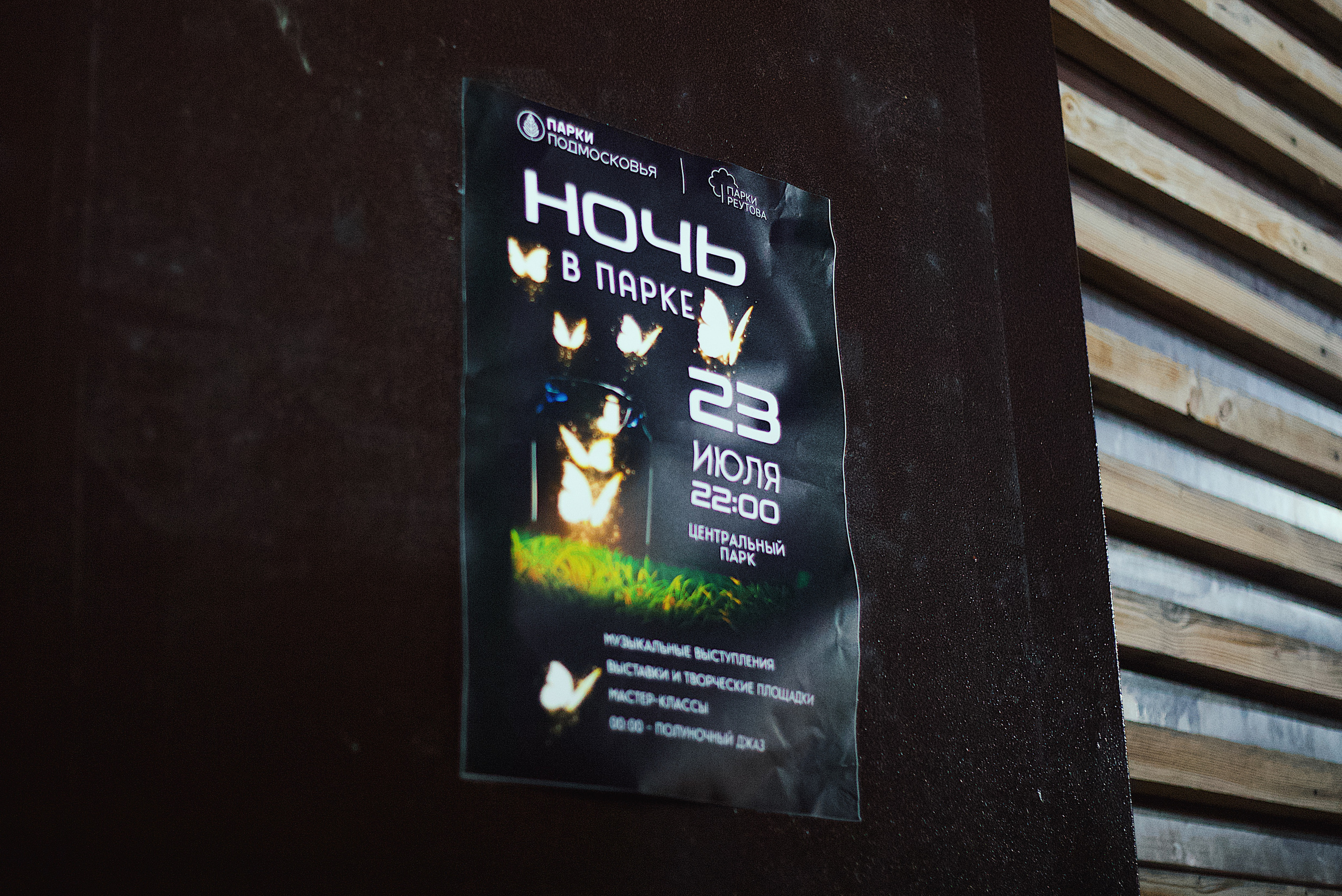 Ночь в парке. Виктория Еремина — фотограф и видеограф в Москве