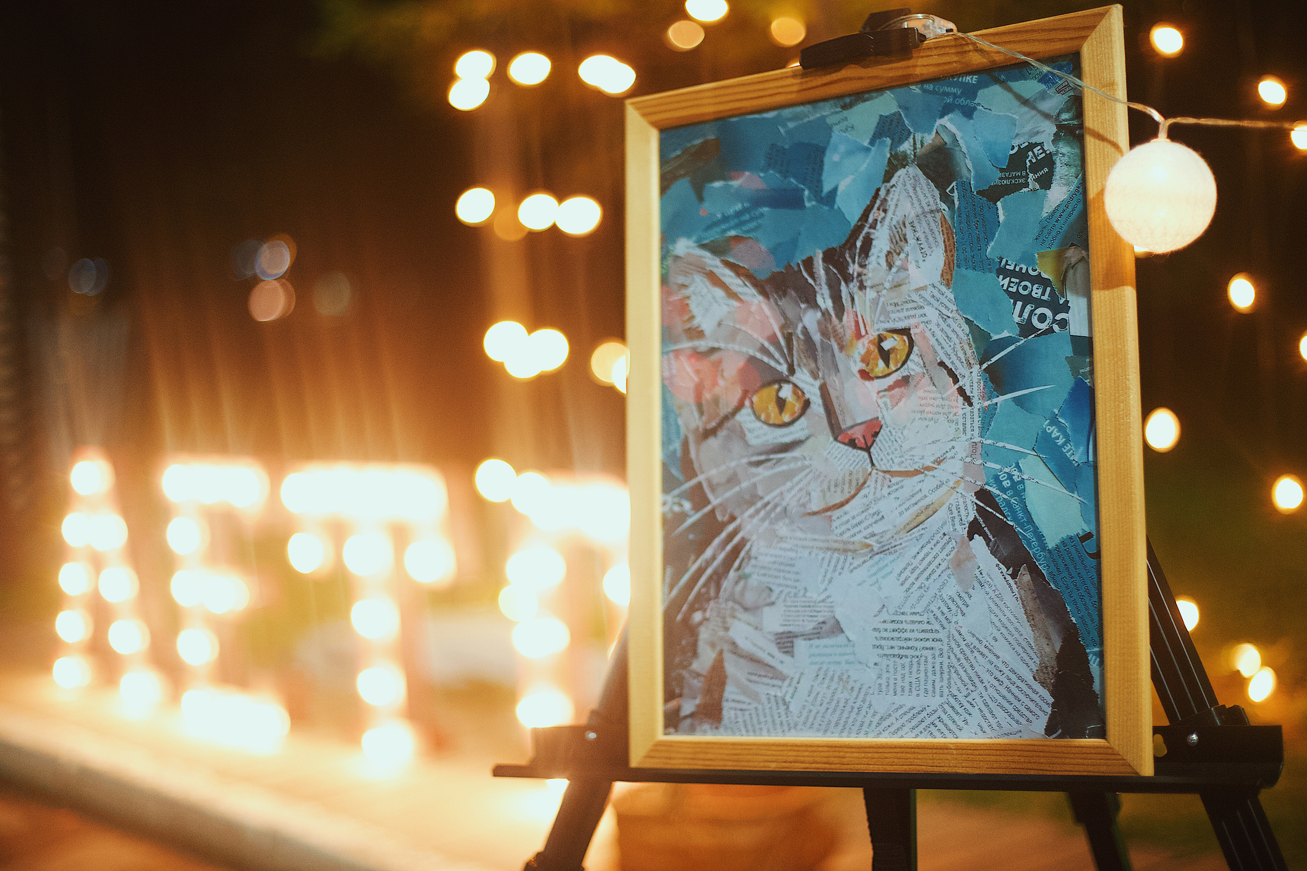 Ночь в парке. Виктория Еремина — фотограф и видеограф в Москве