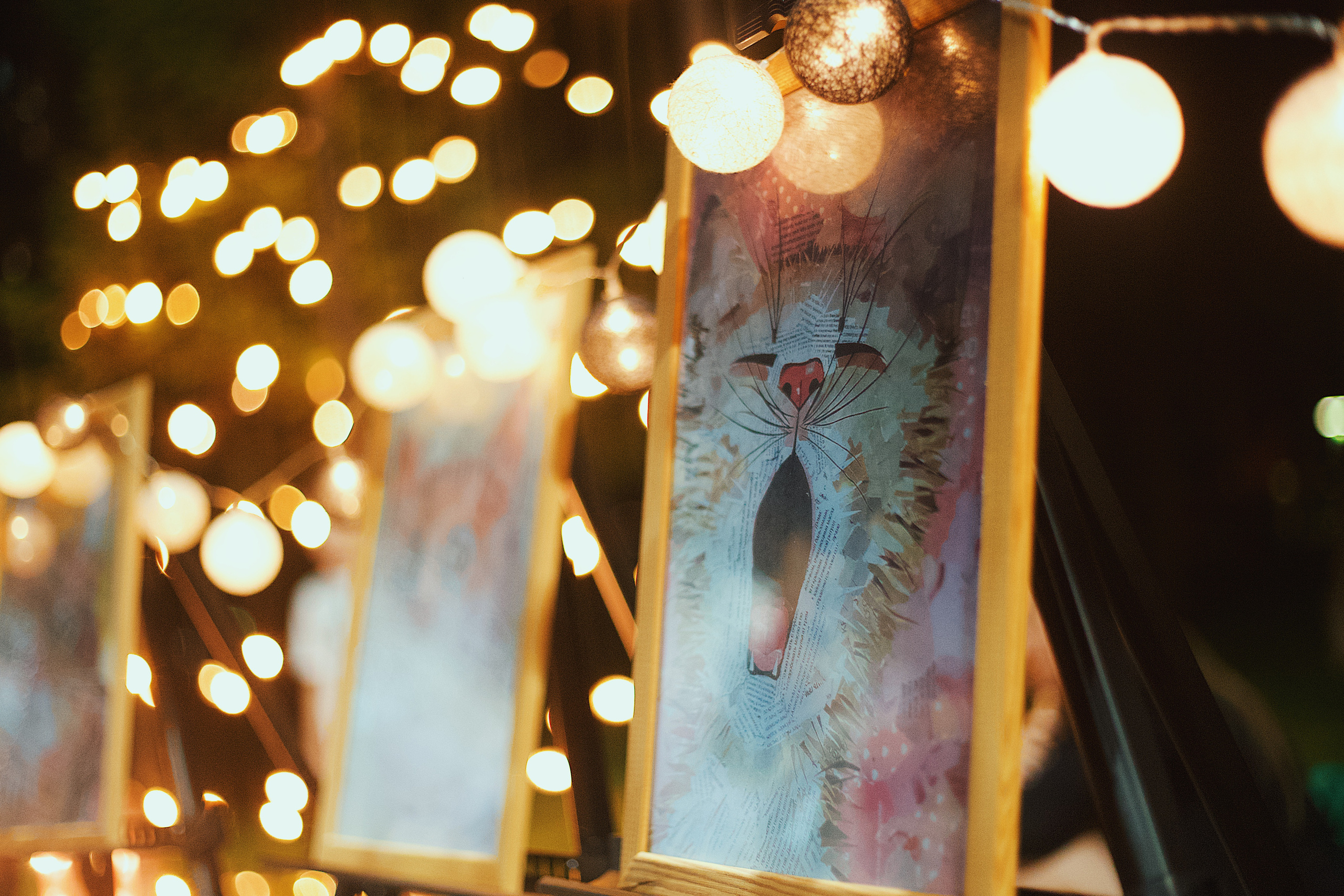 Ночь в парке. Виктория Еремина — фотограф и видеограф в Москве