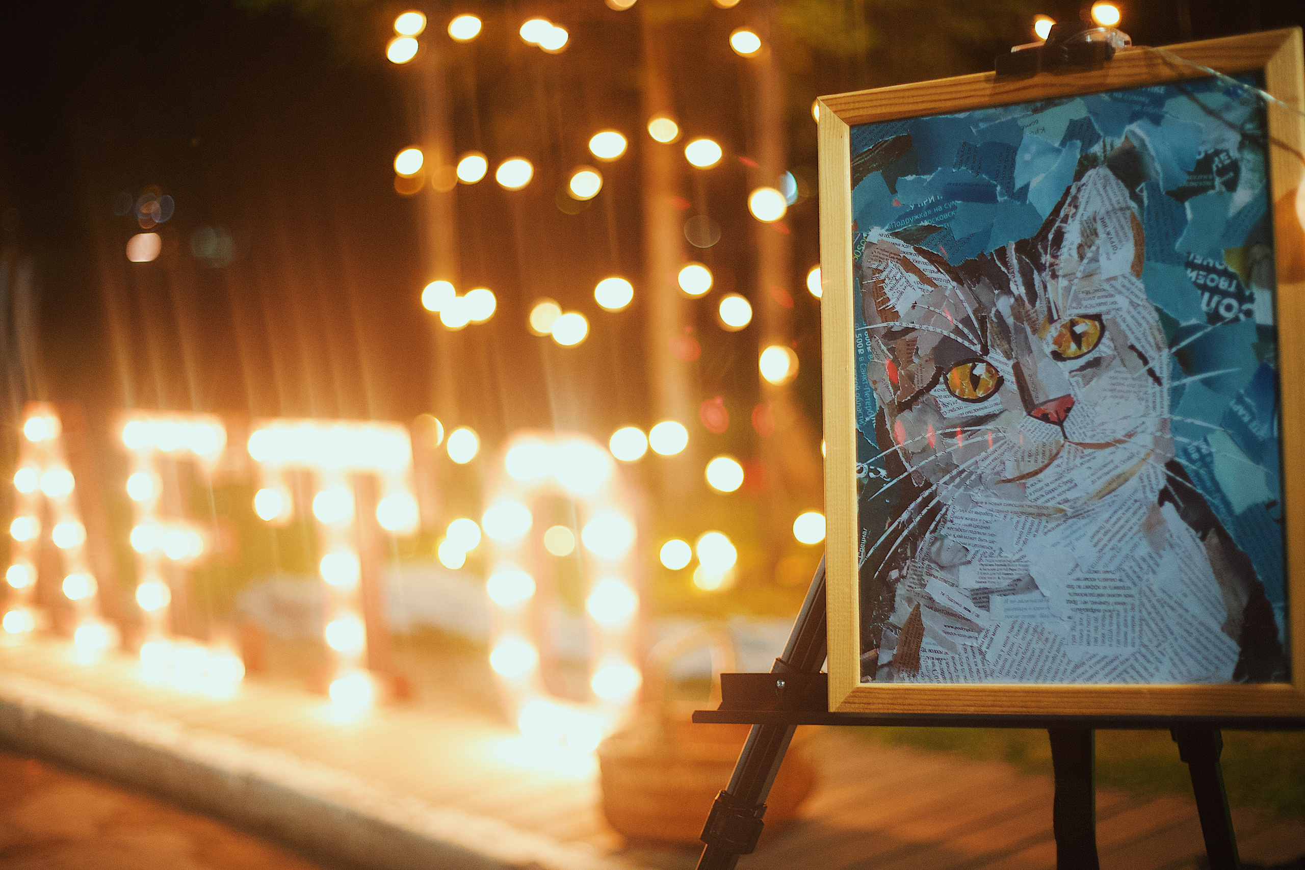 Ночь в парке. Виктория Еремина — фотограф и видеограф в Москве