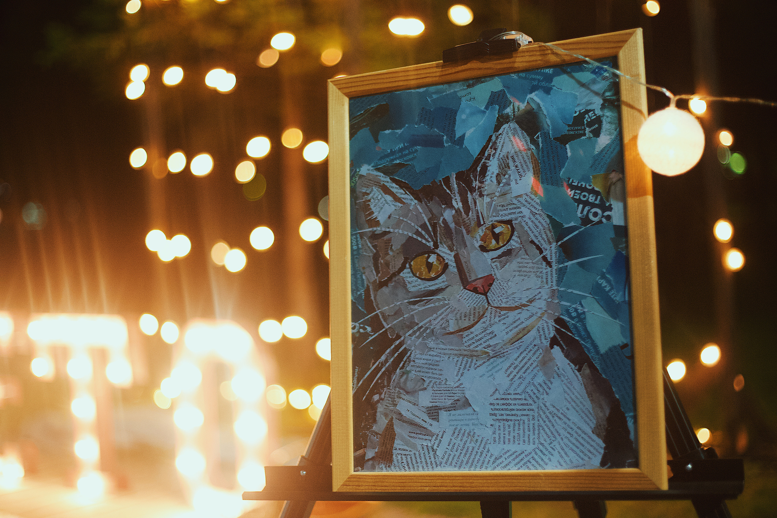 Ночь в парке. Виктория Еремина — фотограф и видеограф в Москве