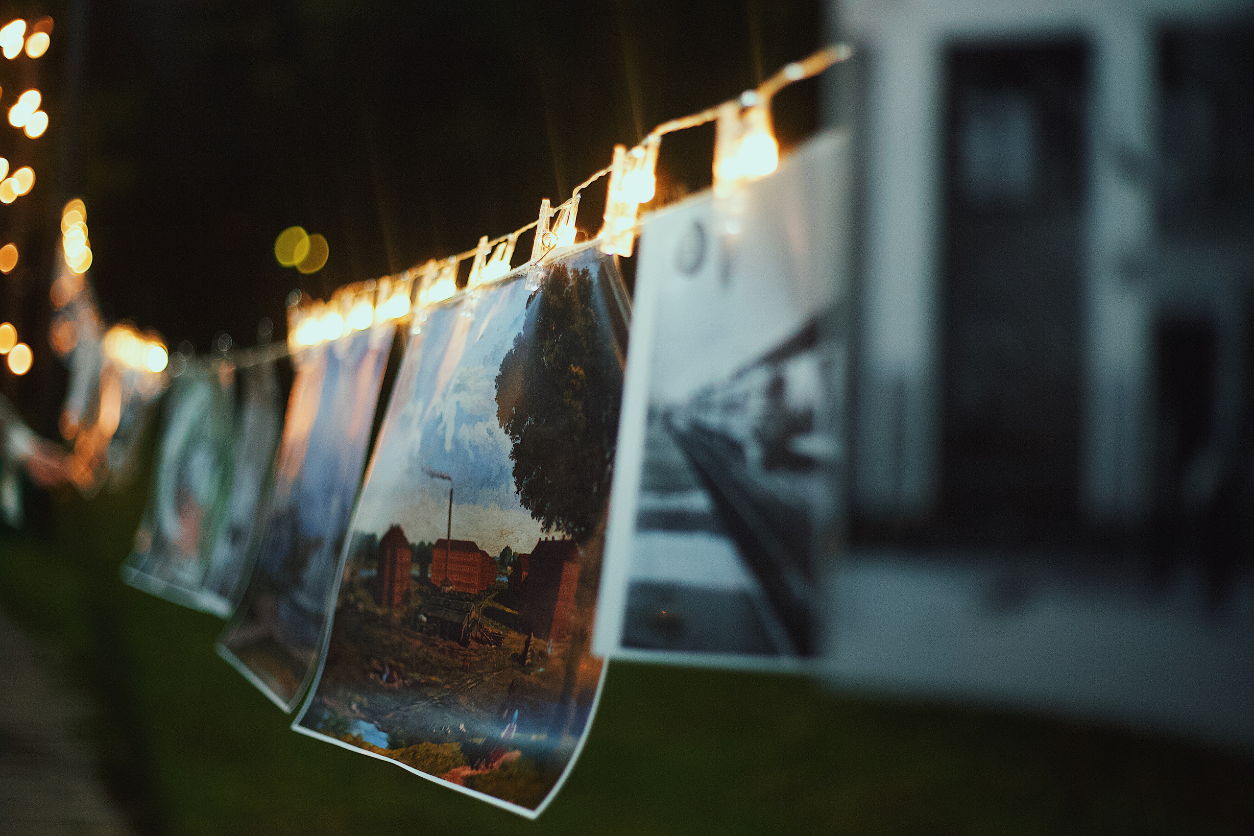 Ночь в парке. Виктория Еремина — фотограф и видеограф в Москве