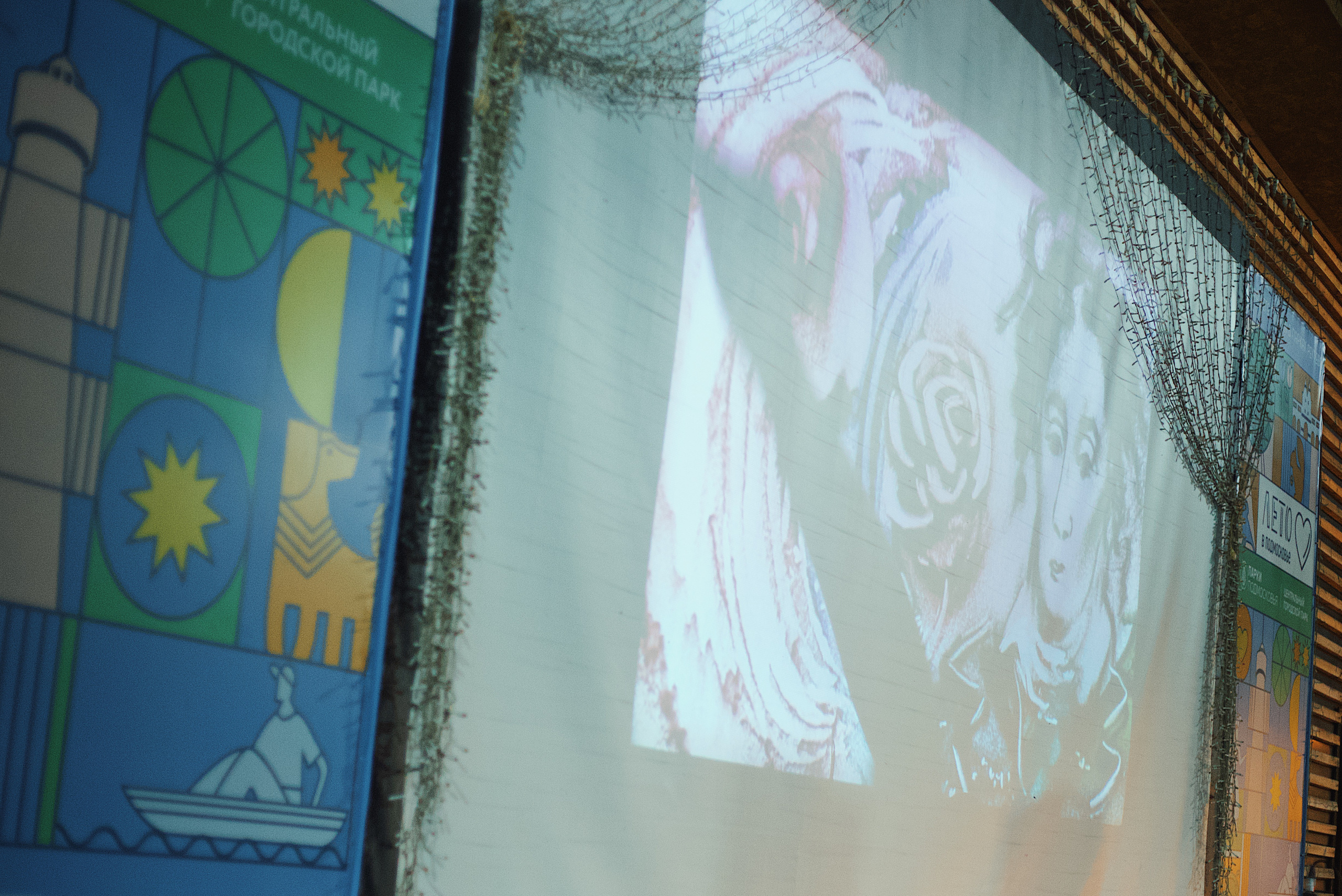 Ночь в парке. Виктория Еремина — фотограф и видеограф в Москве