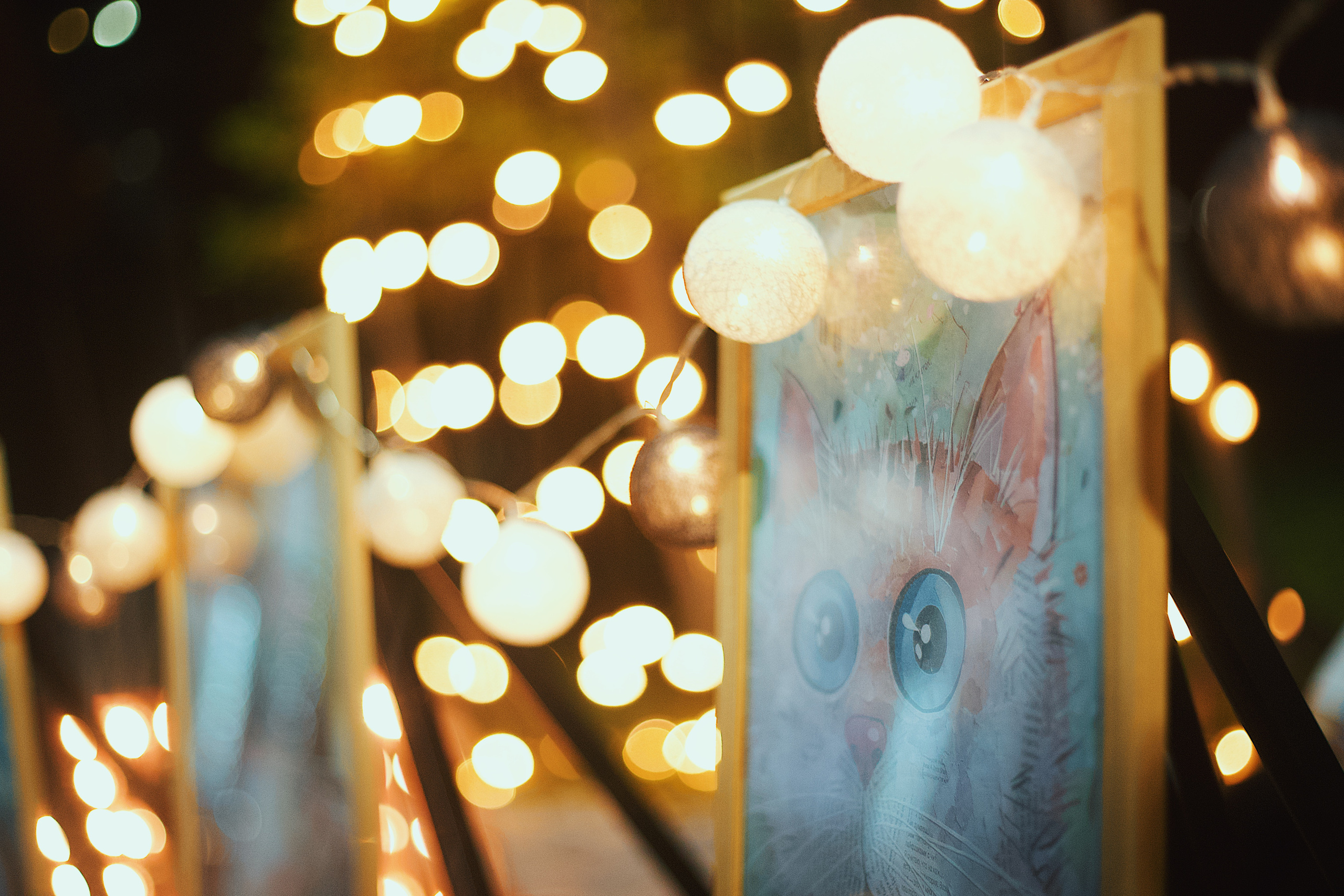 Ночь в парке. Виктория Еремина — фотограф и видеограф в Москве