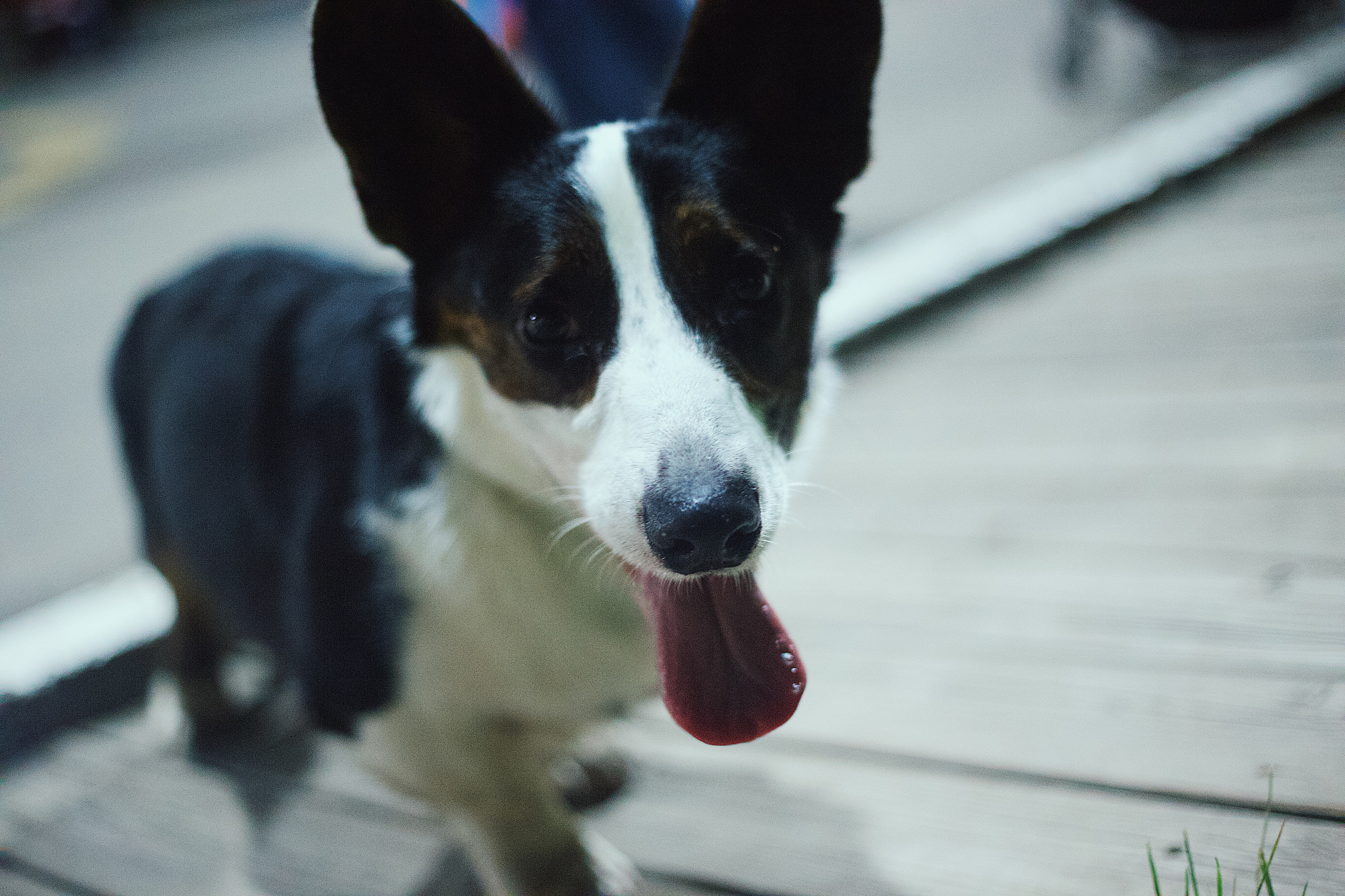 Ночь в парке. Виктория Еремина — фотограф и видеограф в Москве