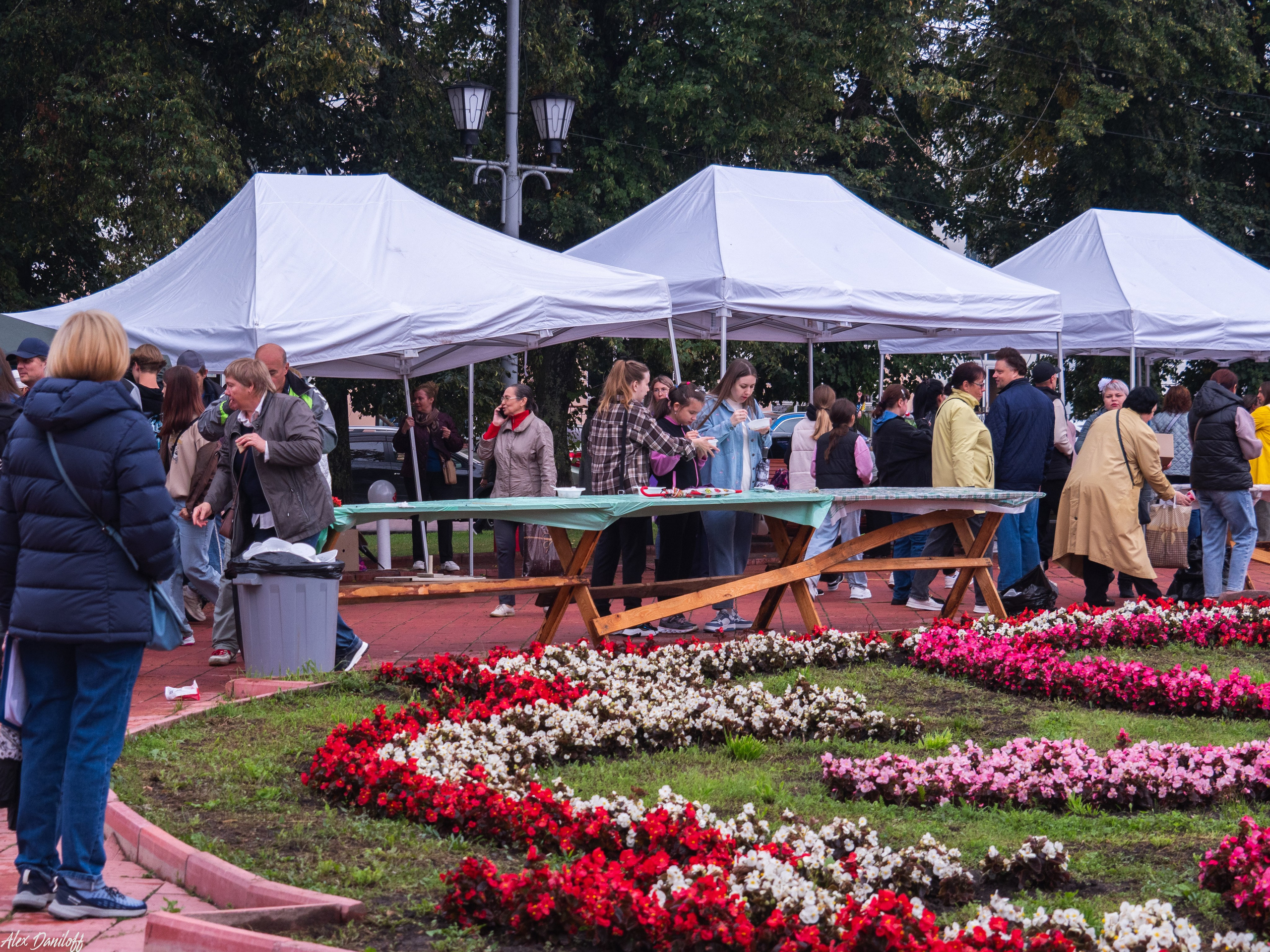 День города Муром 2025. Муром-Инфо. Новости культуры, образования, спорта в городе Муром