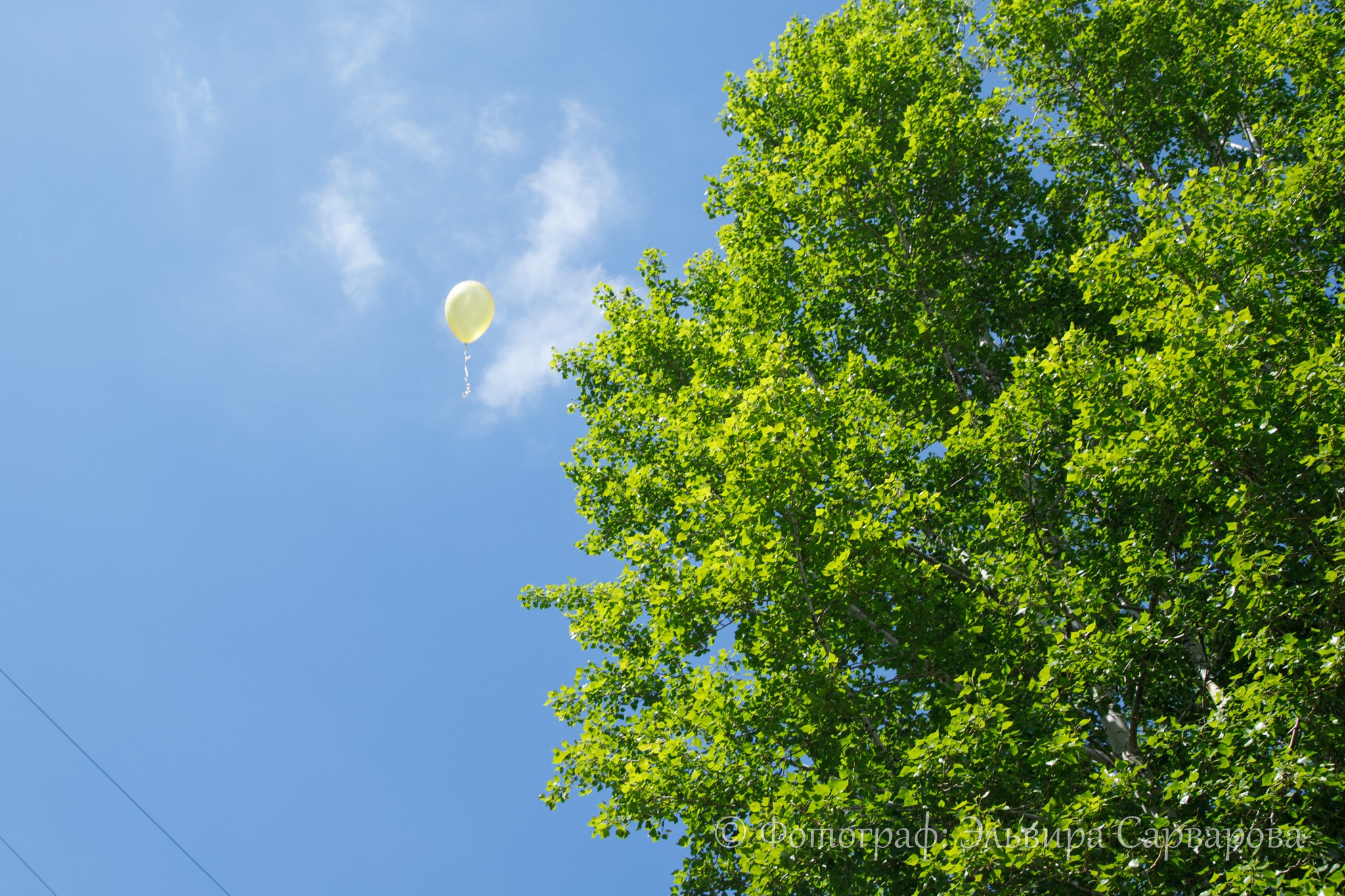 Выпуск детсада. Репортажный Фотограф
