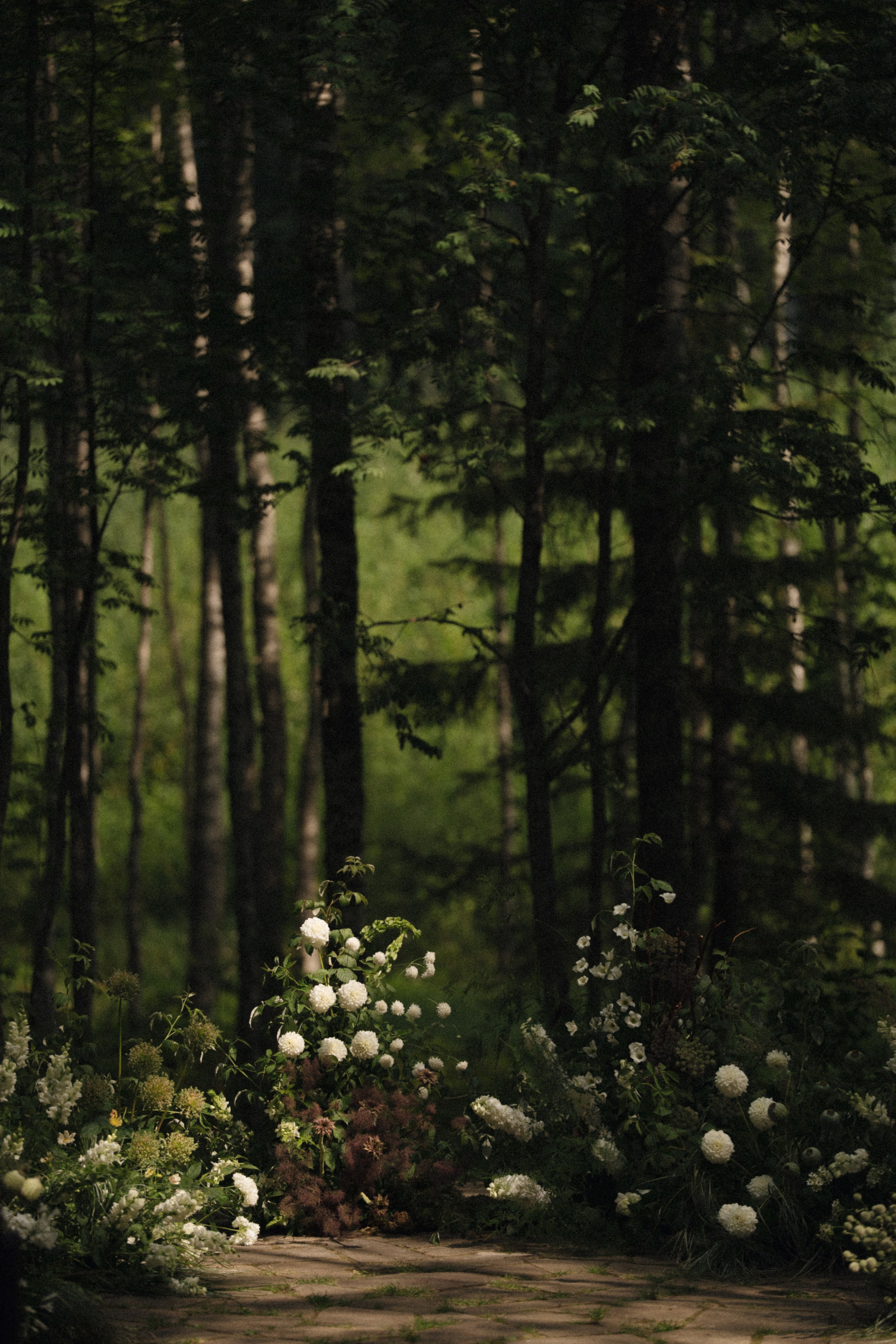 Forest Symphony. Фотограф в Санкт-Петербурге Александр Дымов