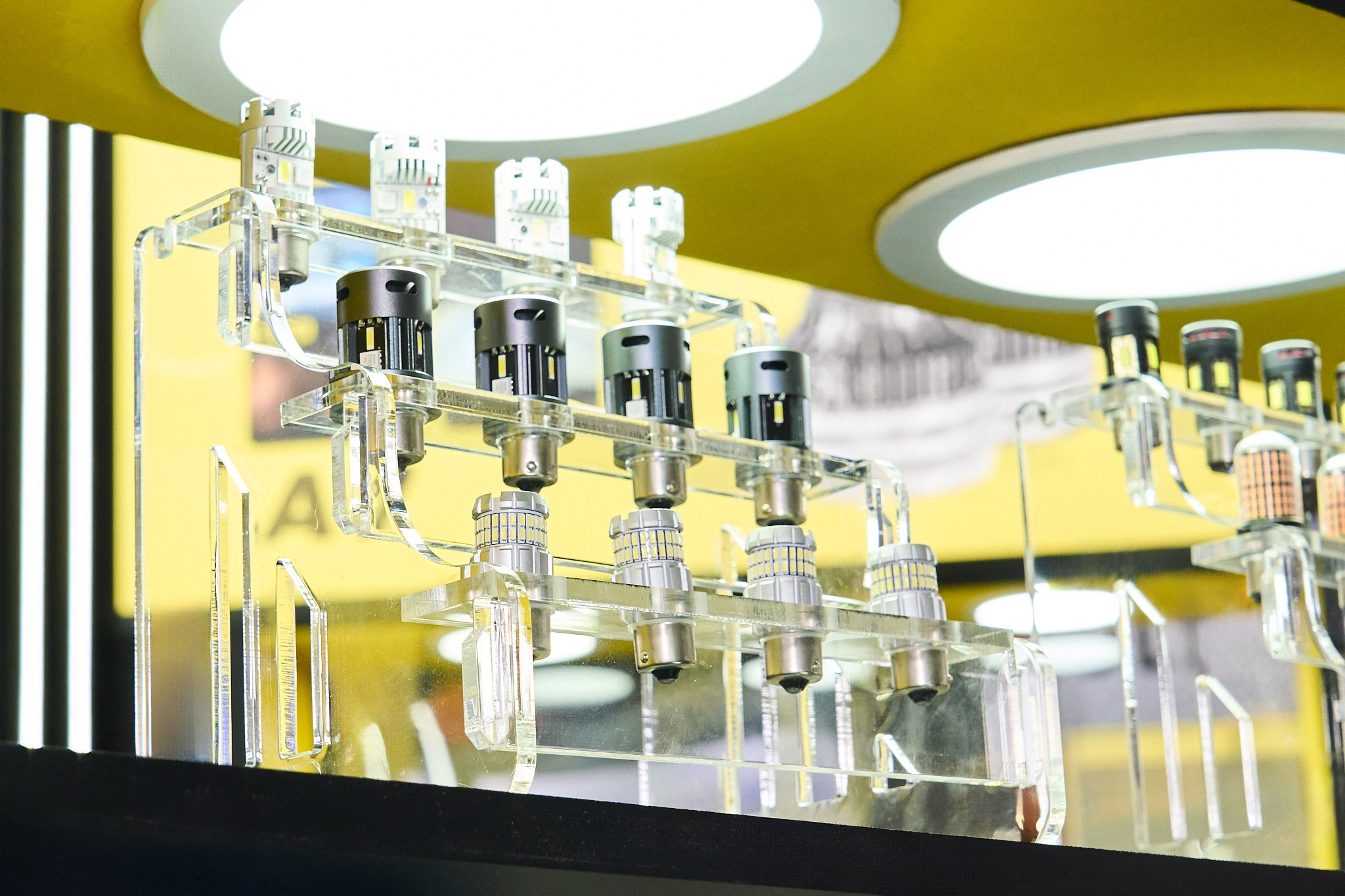 Экспоцентр 2025. Фотограф Ольга Яканова