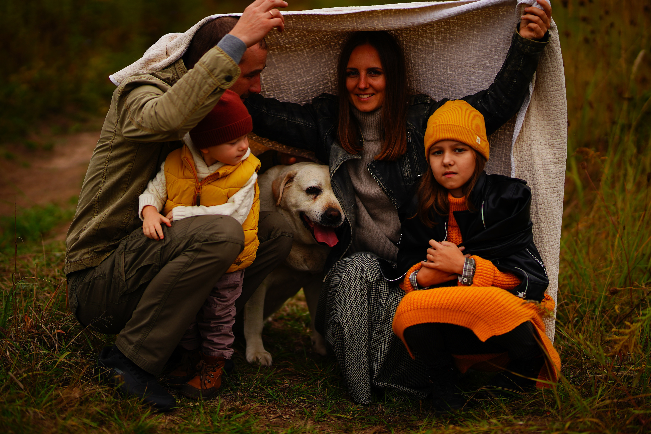 Желтые точки ромашек. Искренний фотограф