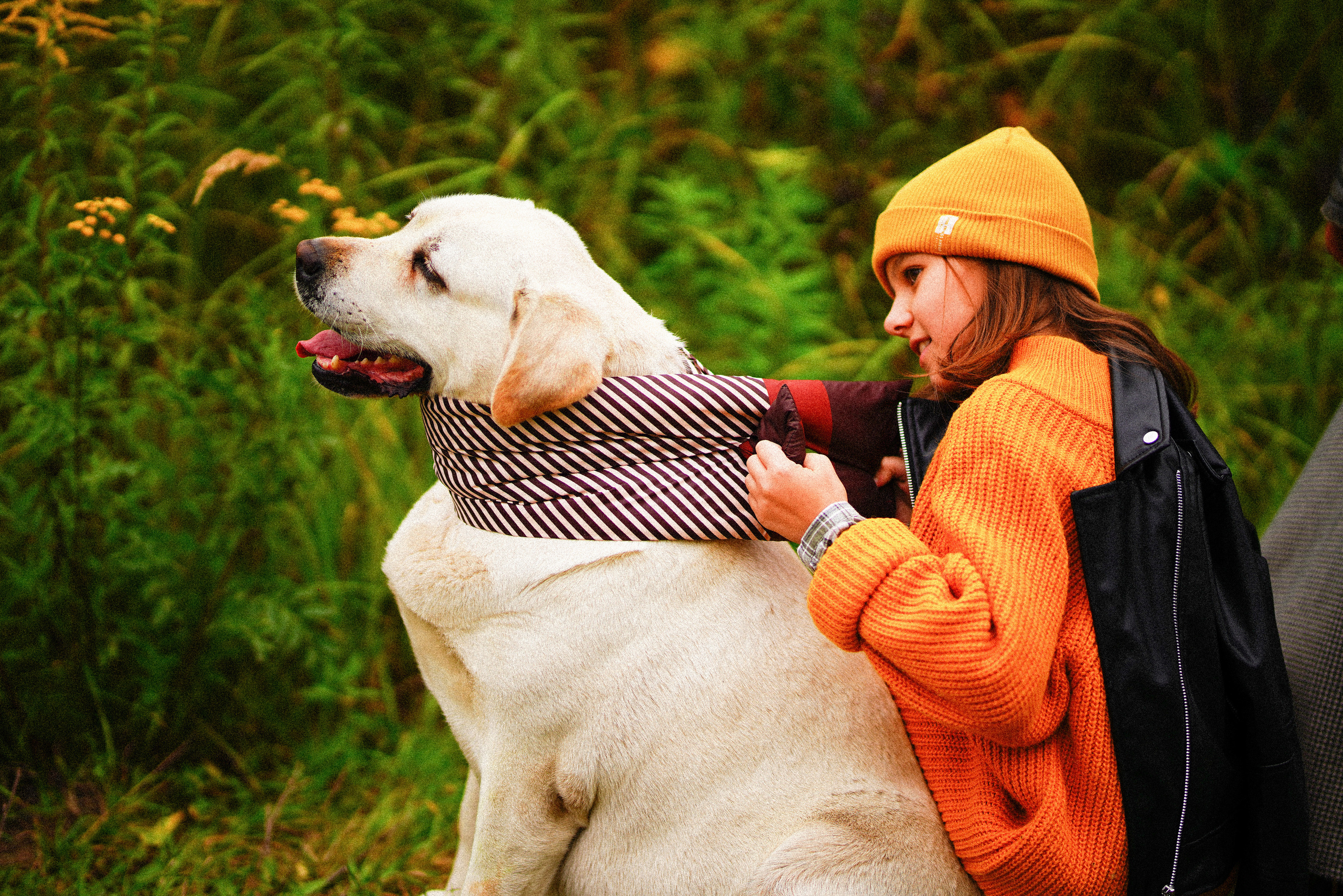Ж е л т ы е  точки ромашек. Искренний фотограф