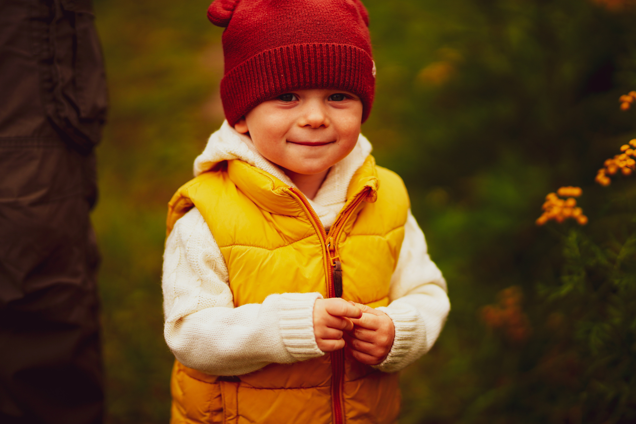 Ж е л т ы е  точки ромашек. Искренний фотограф