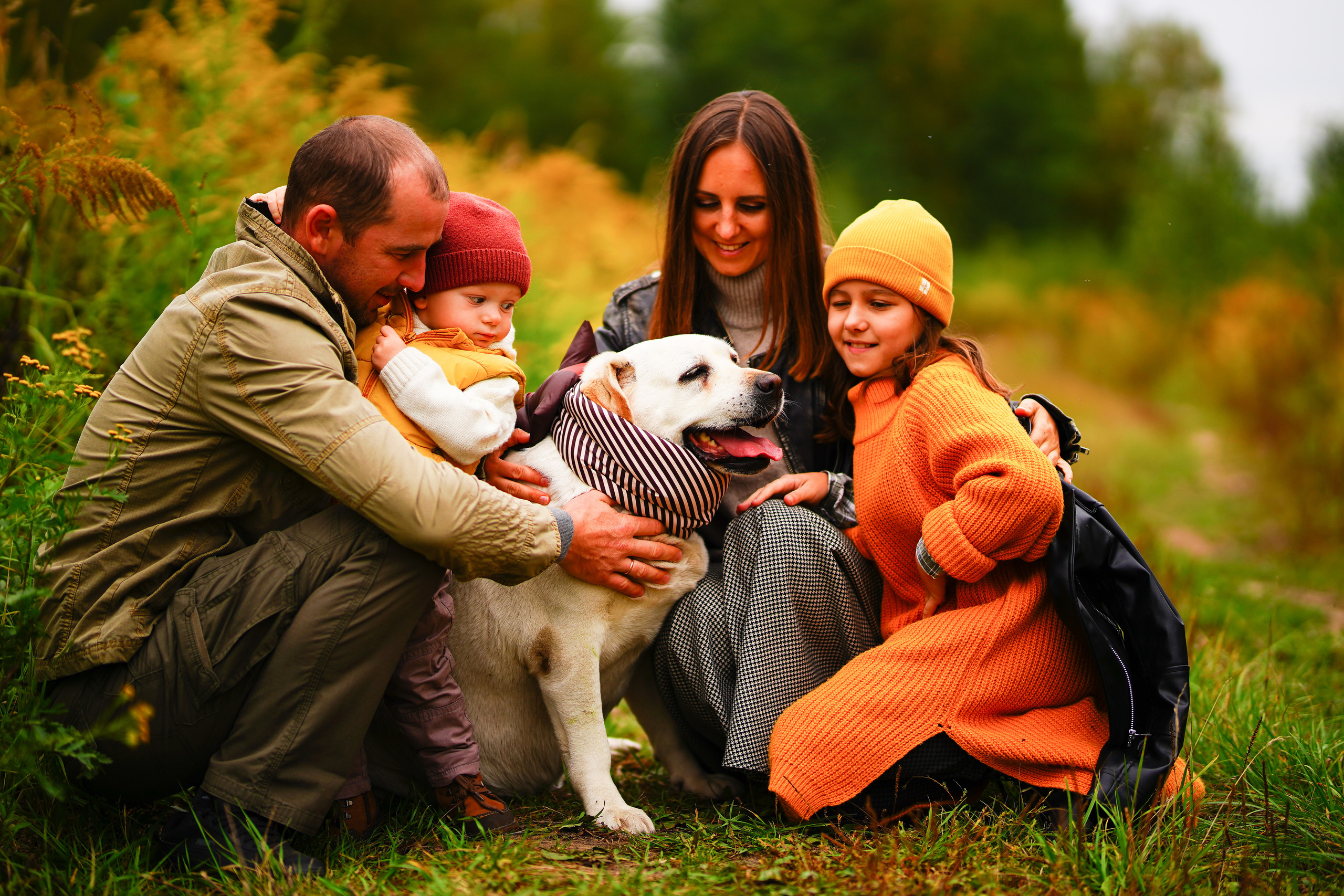 Желтые точки ромашек. Искренний фотограф