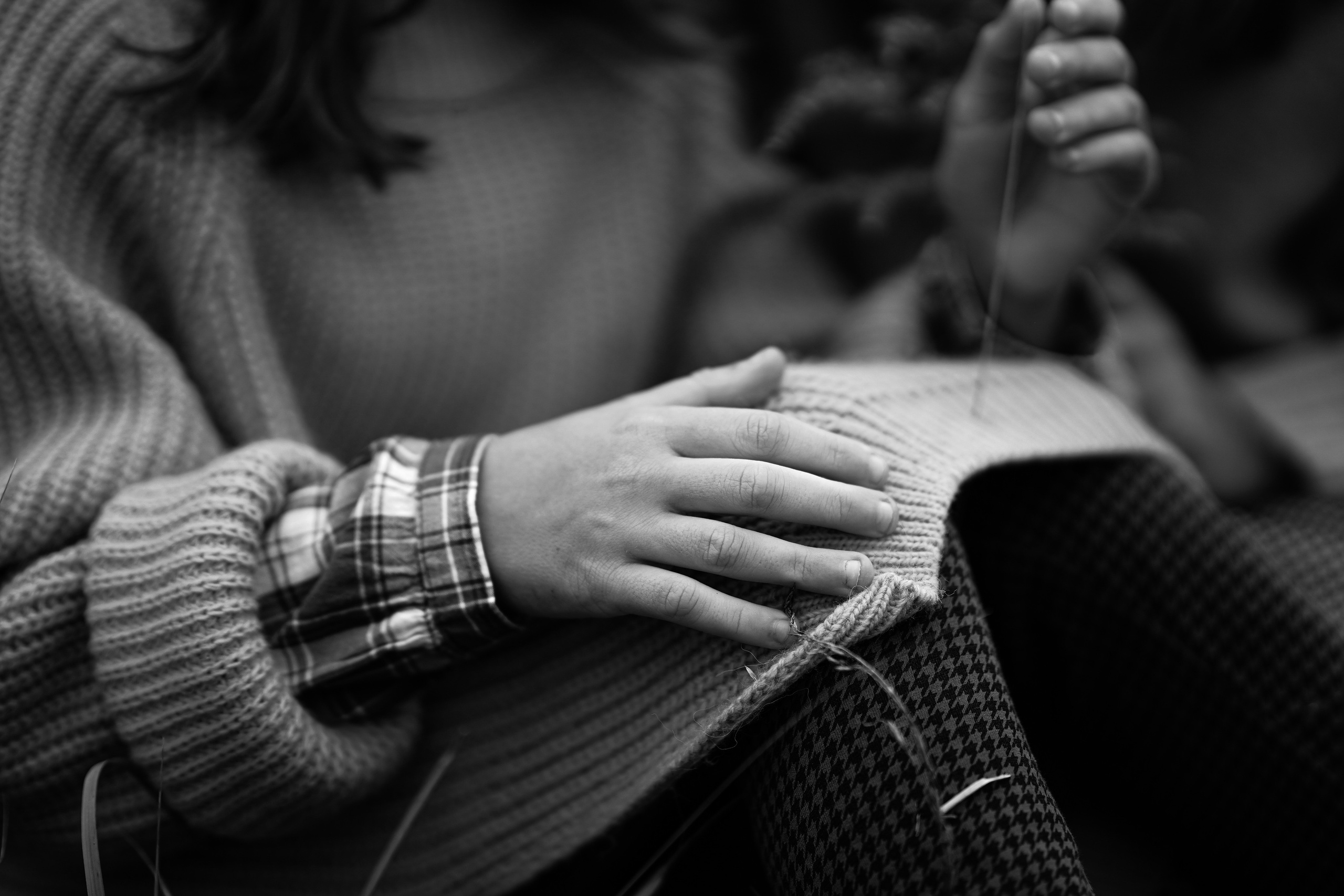 Желтые точки ромашек. Искренний фотограф