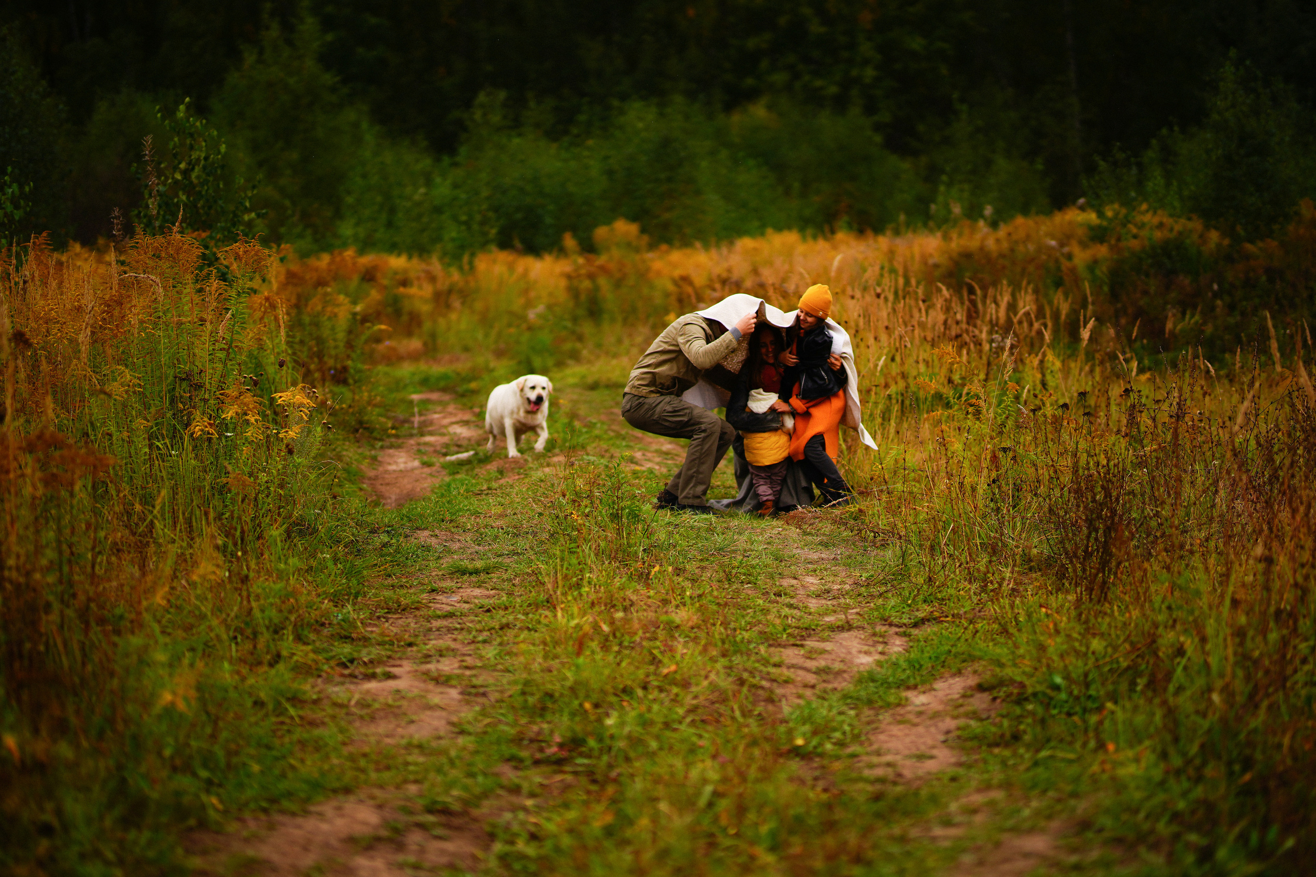 Желтые точки ромашек. Искренний фотограф