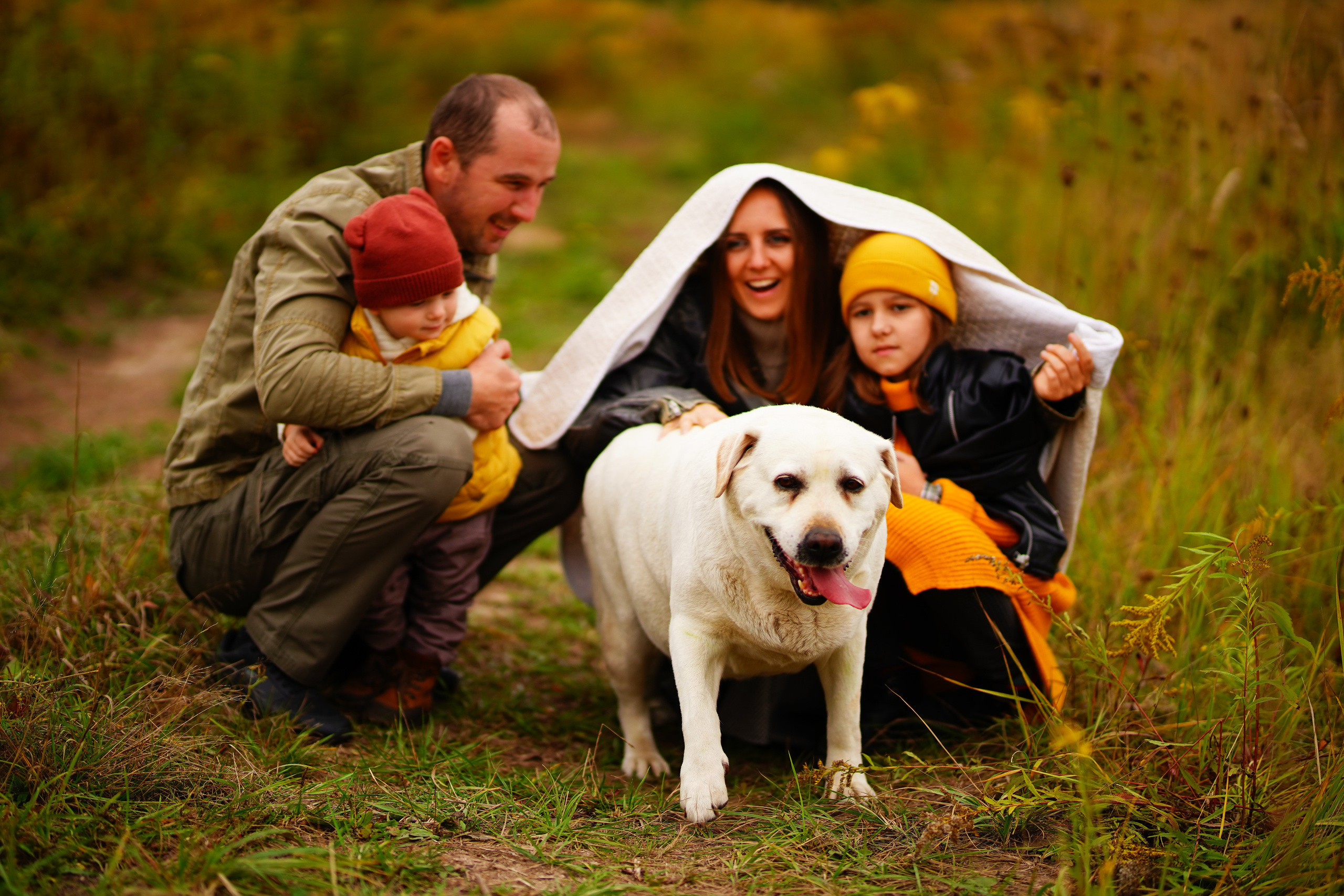 Желтые точки ромашек. Искренний фотограф