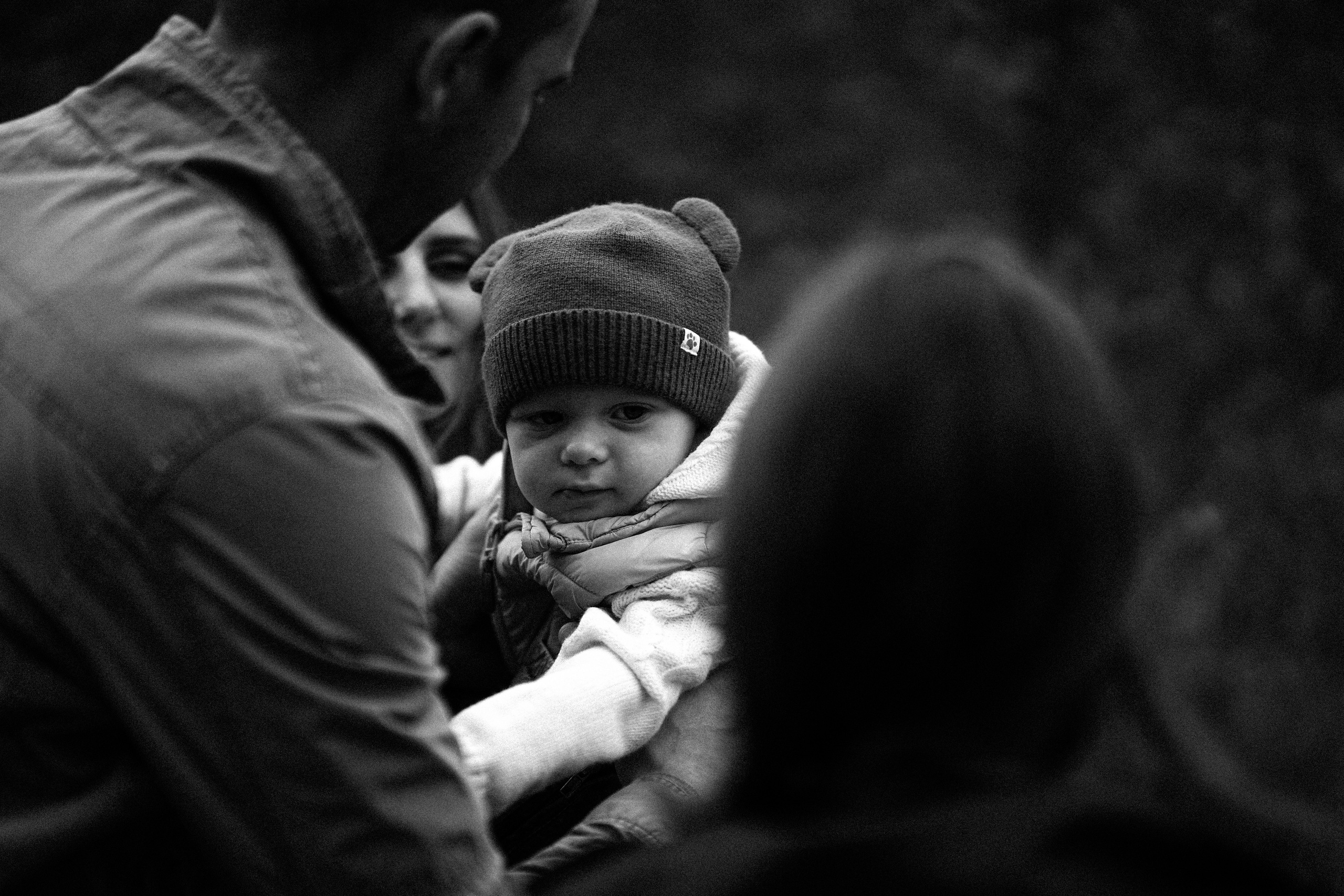 Желтые точки ромашек. Искренний фотограф