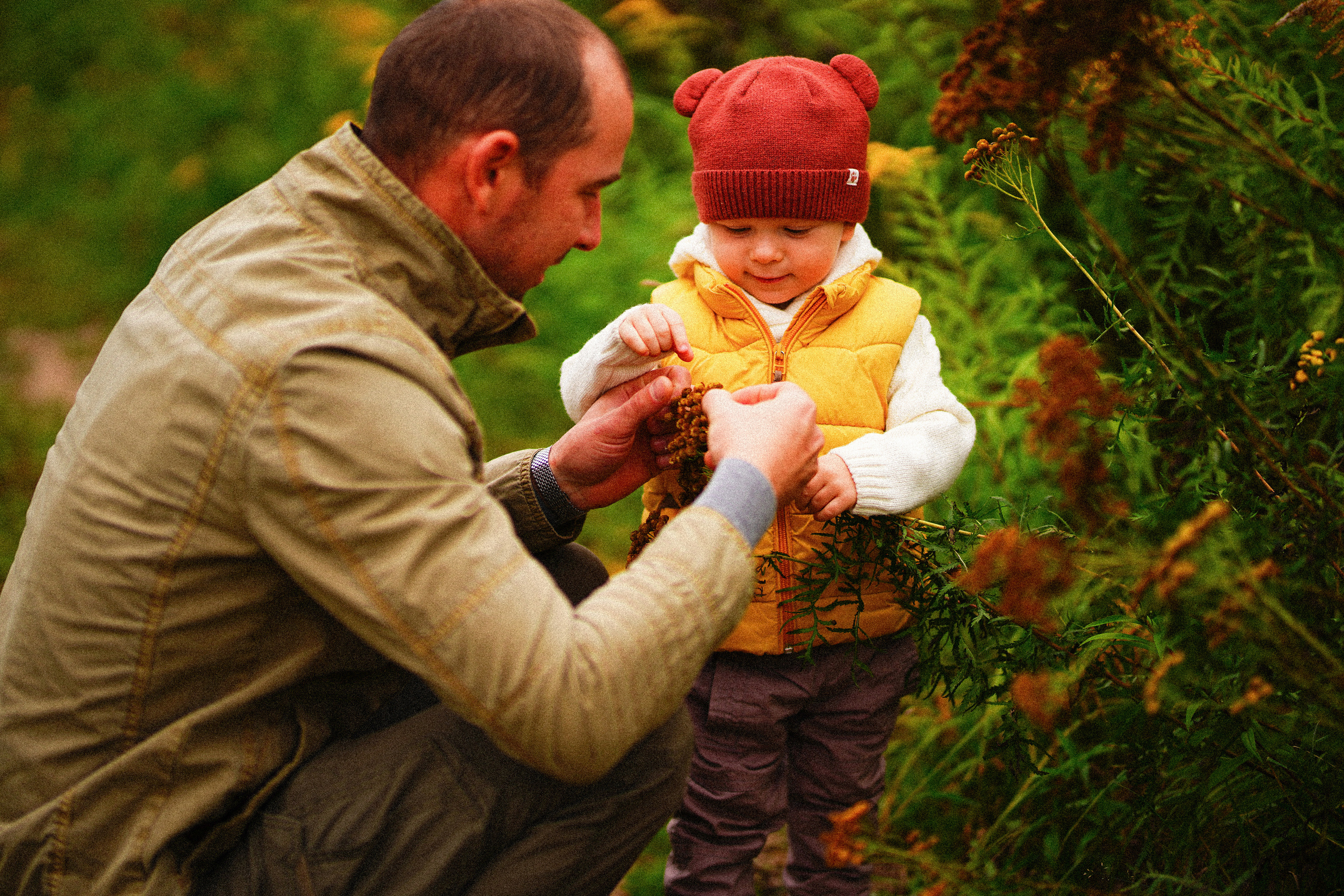 Ж е л т ы е  точки ромашек. Искренний фотограф
