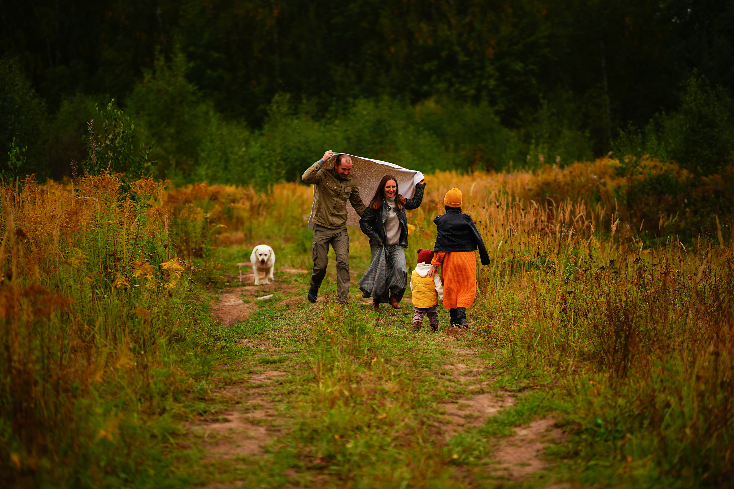 Желтые точки ромашек. Искренний фотограф