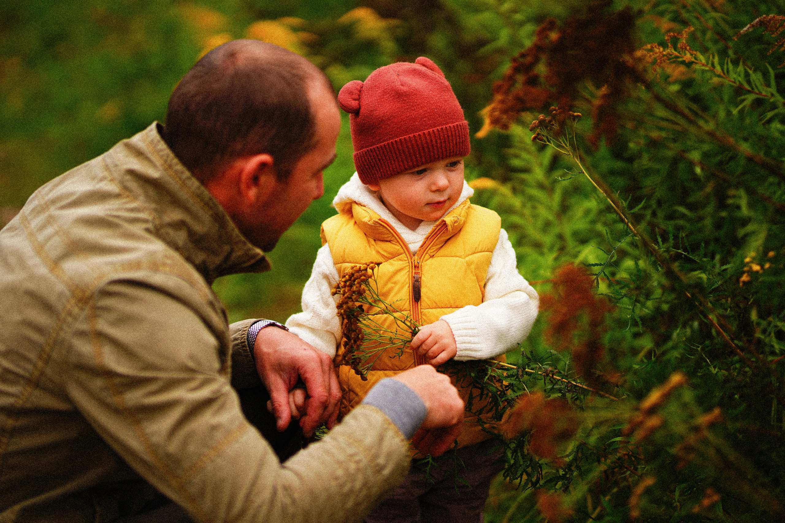 Желтые точки ромашек. Искренний фотограф