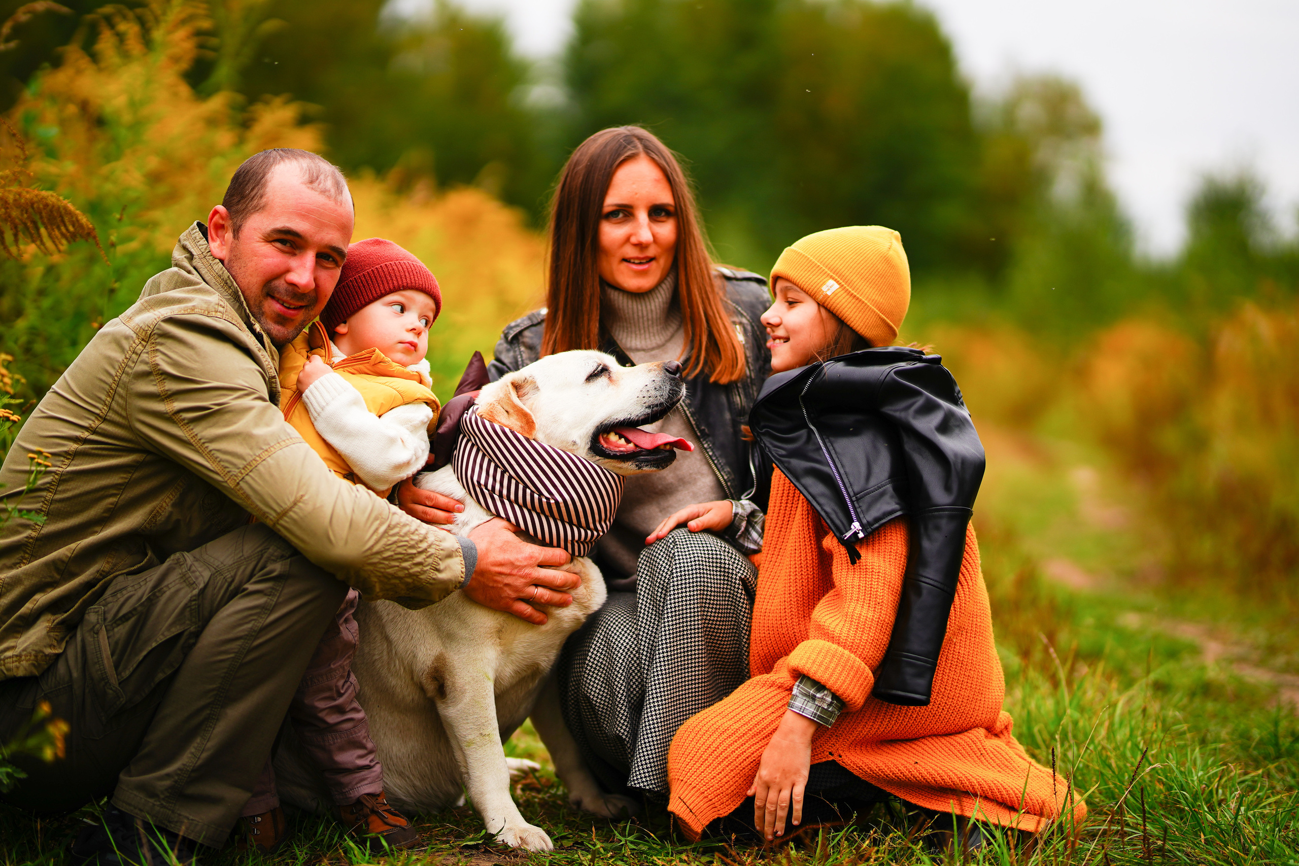 Ж е л т ы е  точки ромашек. Искренний фотограф