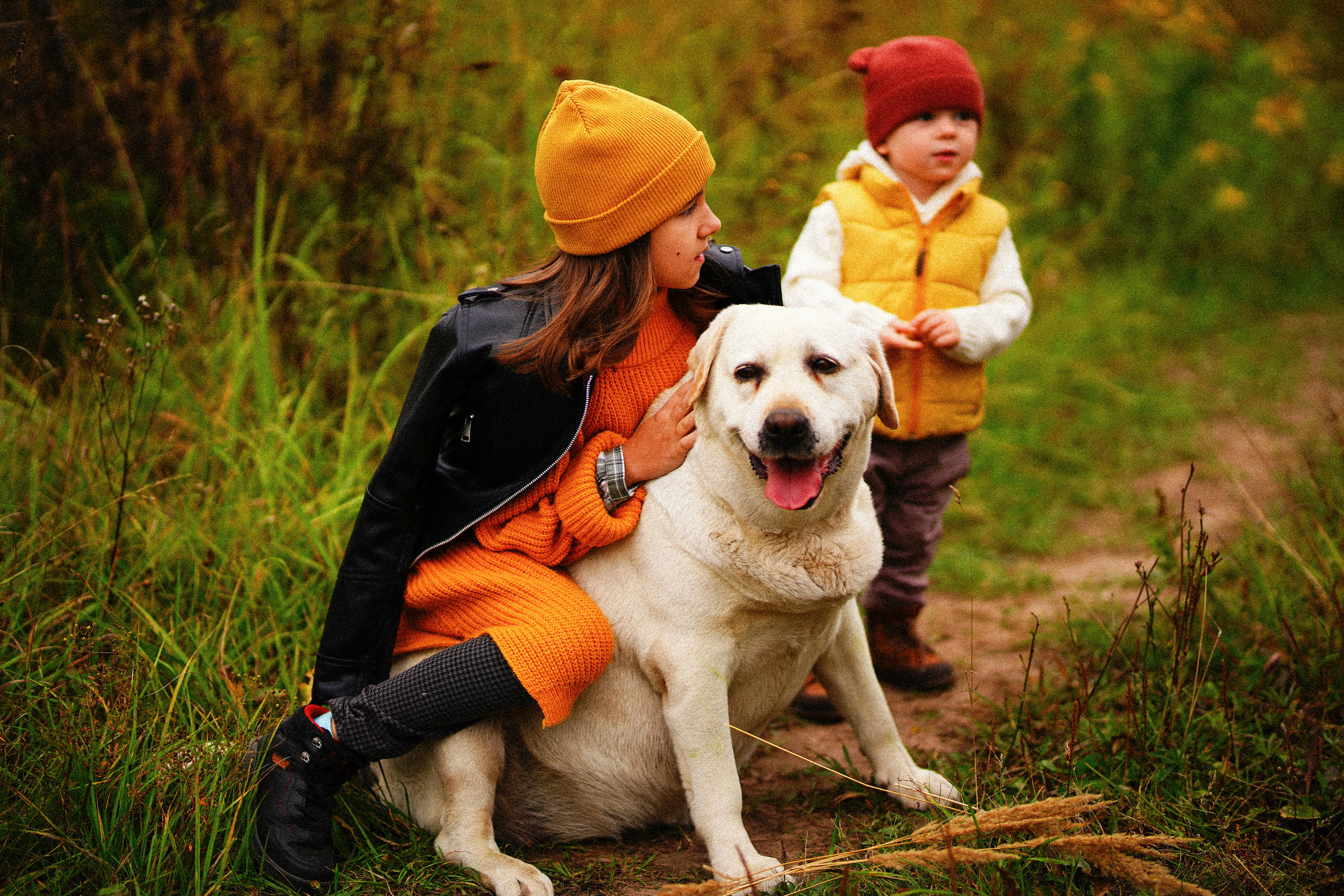 Желтые точки ромашек. Искренний фотограф