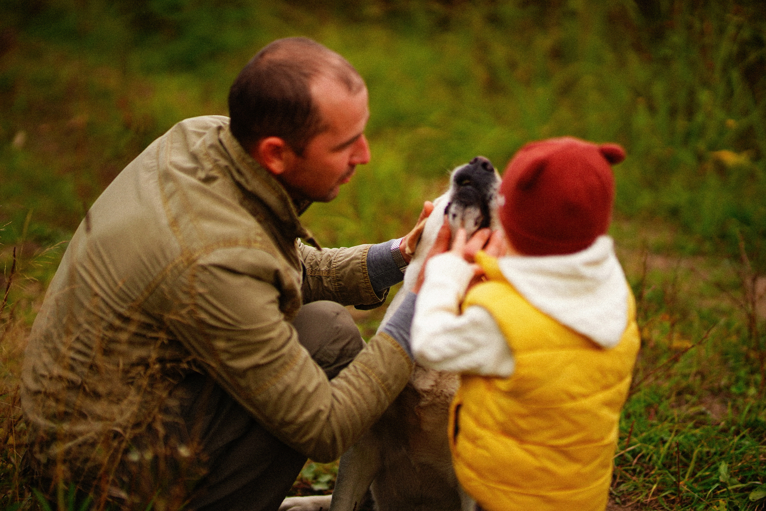 Желтые точки ромашек. Искренний фотограф