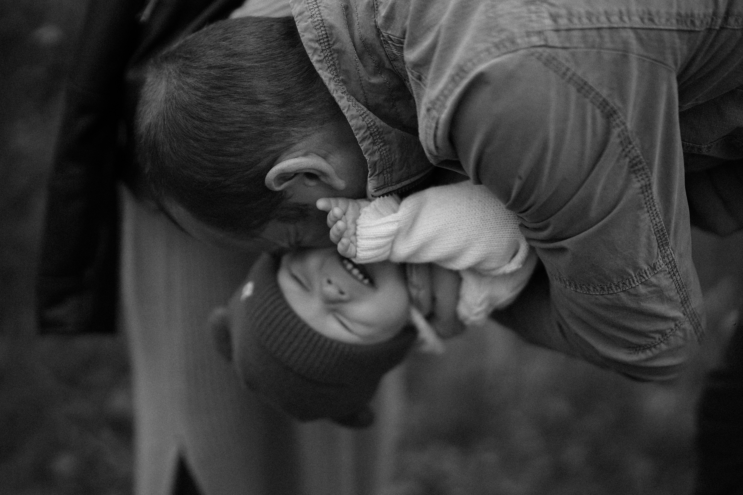 Ж е л т ы е  точки ромашек. Искренний фотограф