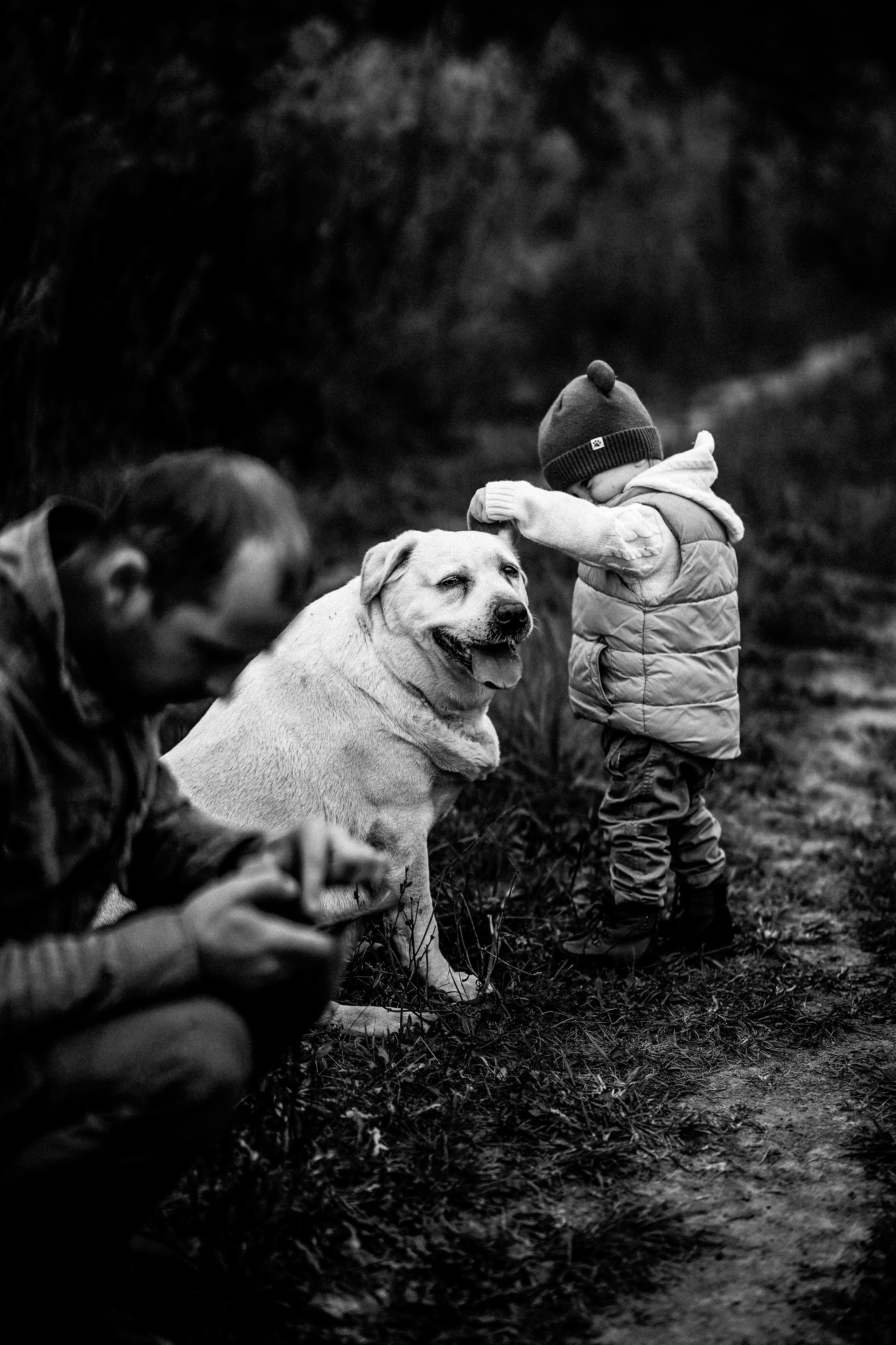 Желтые точки ромашек. Искренний фотограф
