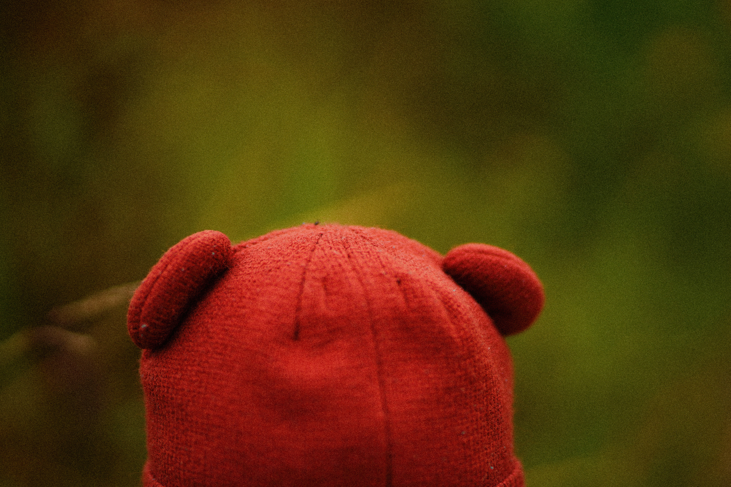 Желтые точки ромашек. Искренний фотограф