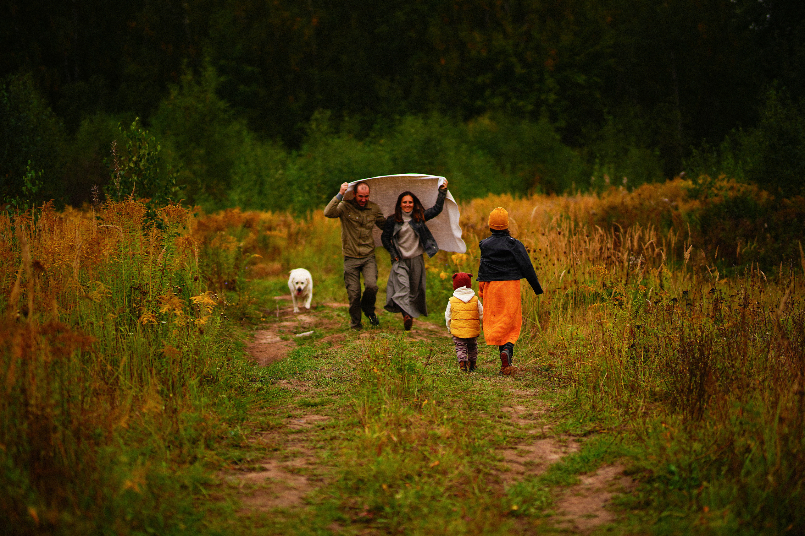 Ж е л т ы е  точки ромашек. Искренний фотограф