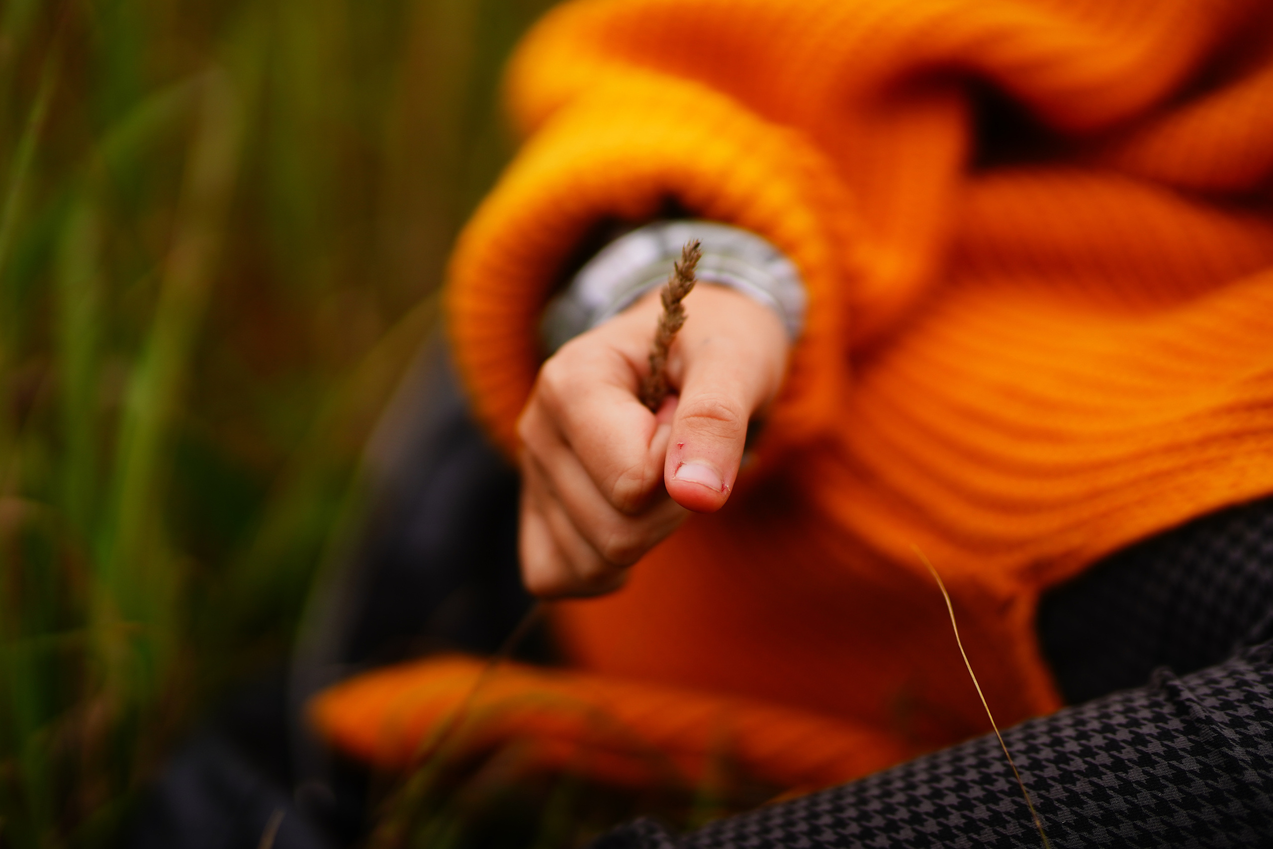 Ж е л т ы е  точки ромашек. Искренний фотограф