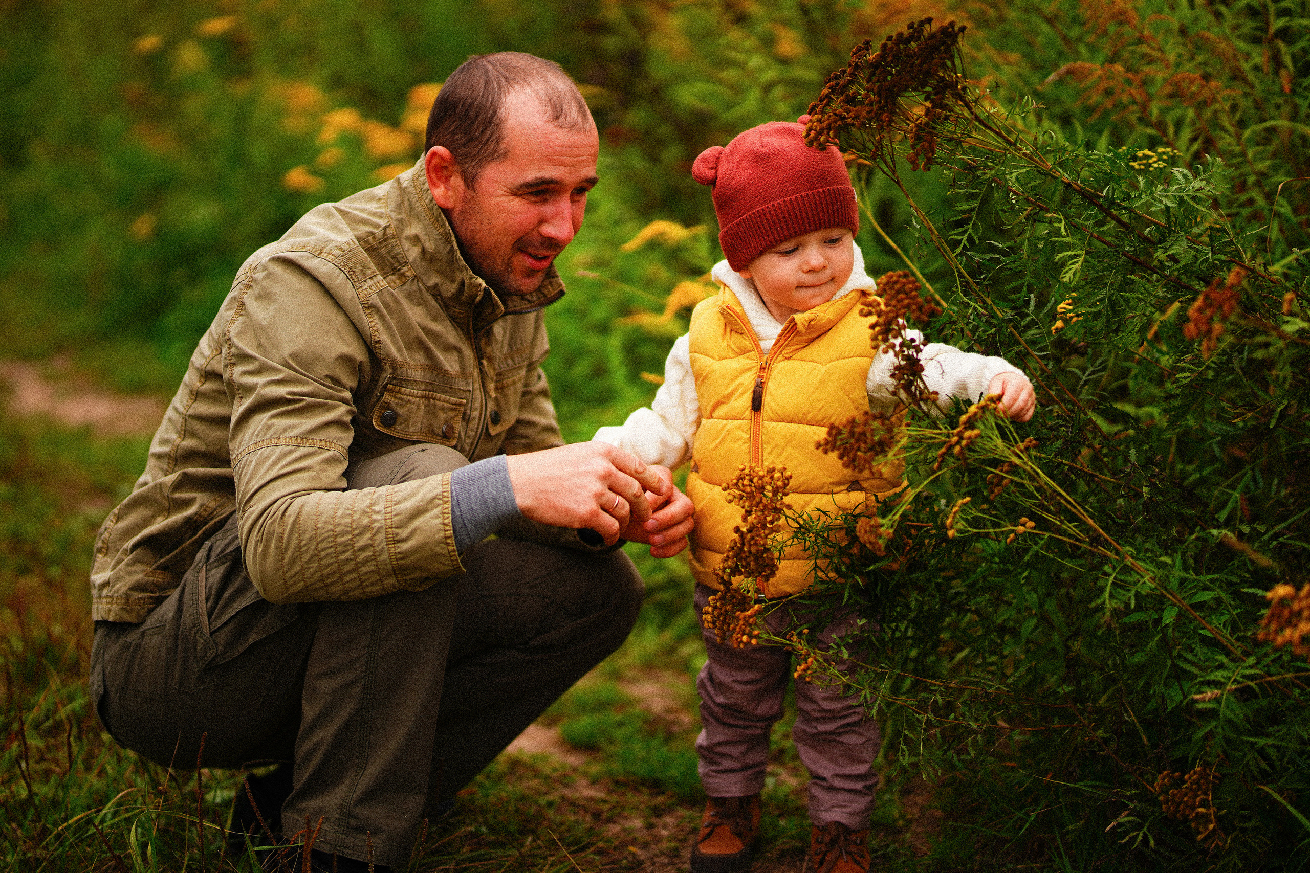 Желтые точки ромашек. Искренний фотограф