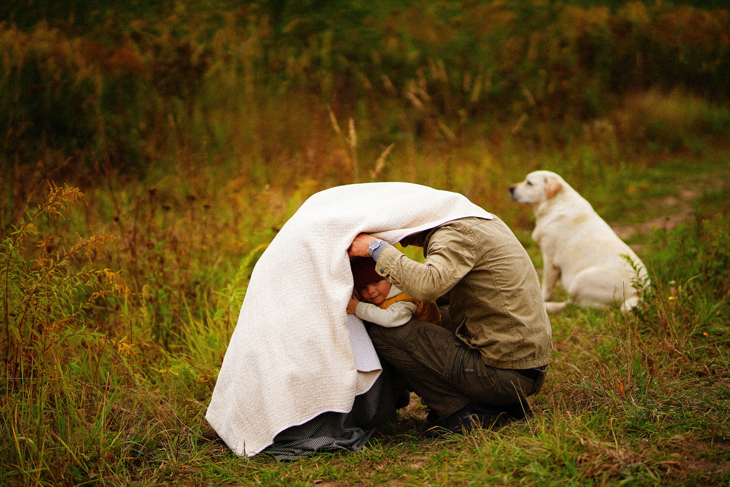 Ж е л т ы е  точки ромашек. Искренний фотограф
