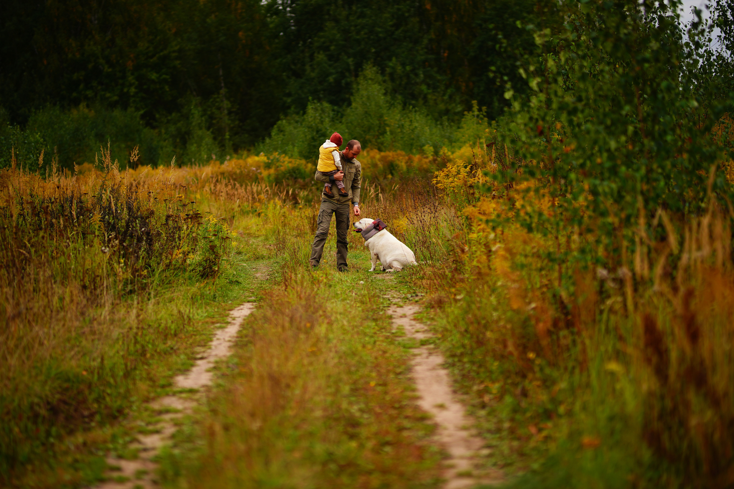 Ж е л т ы е  точки ромашек. Искренний фотограф