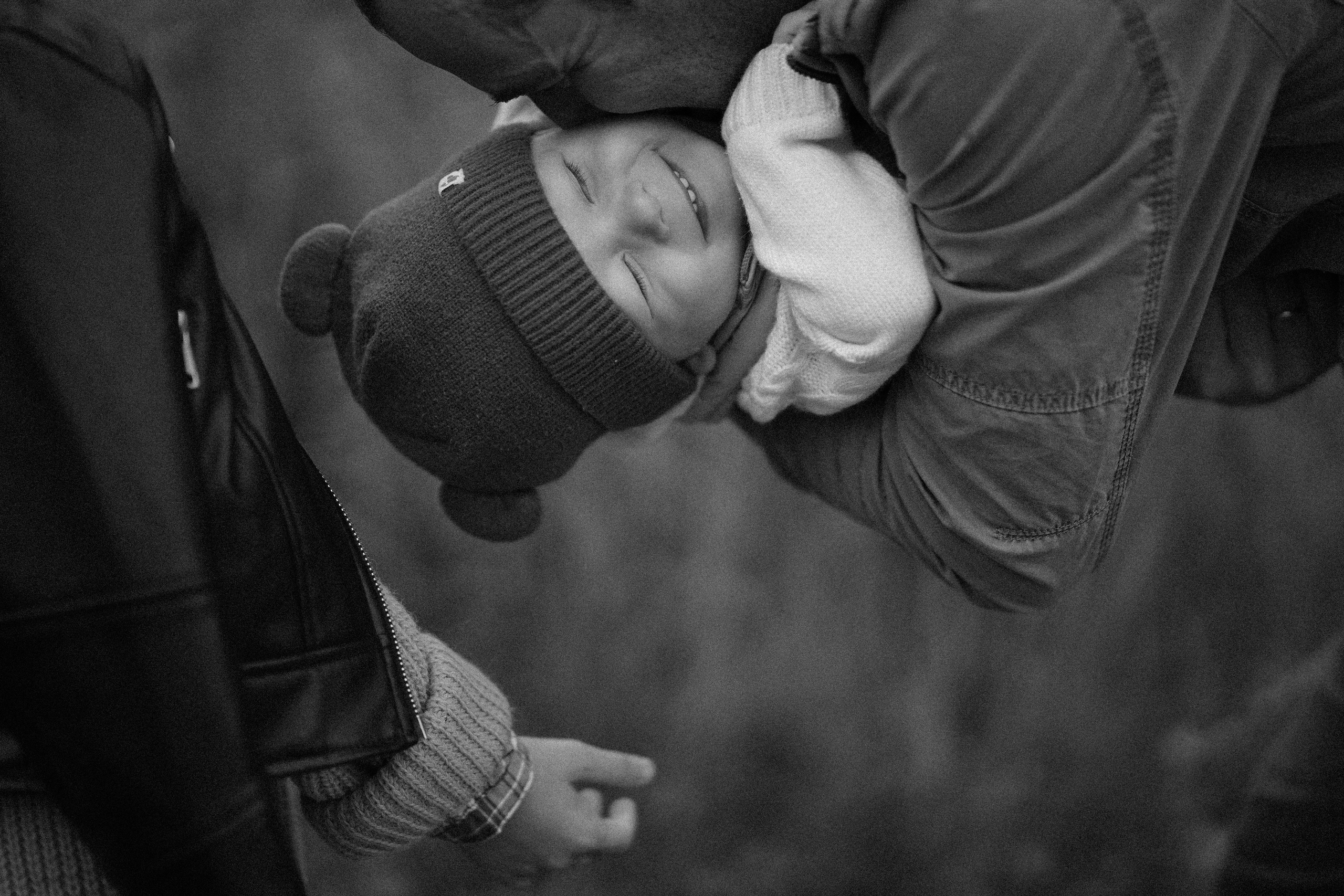 Ж е л т ы е  точки ромашек. Искренний фотограф